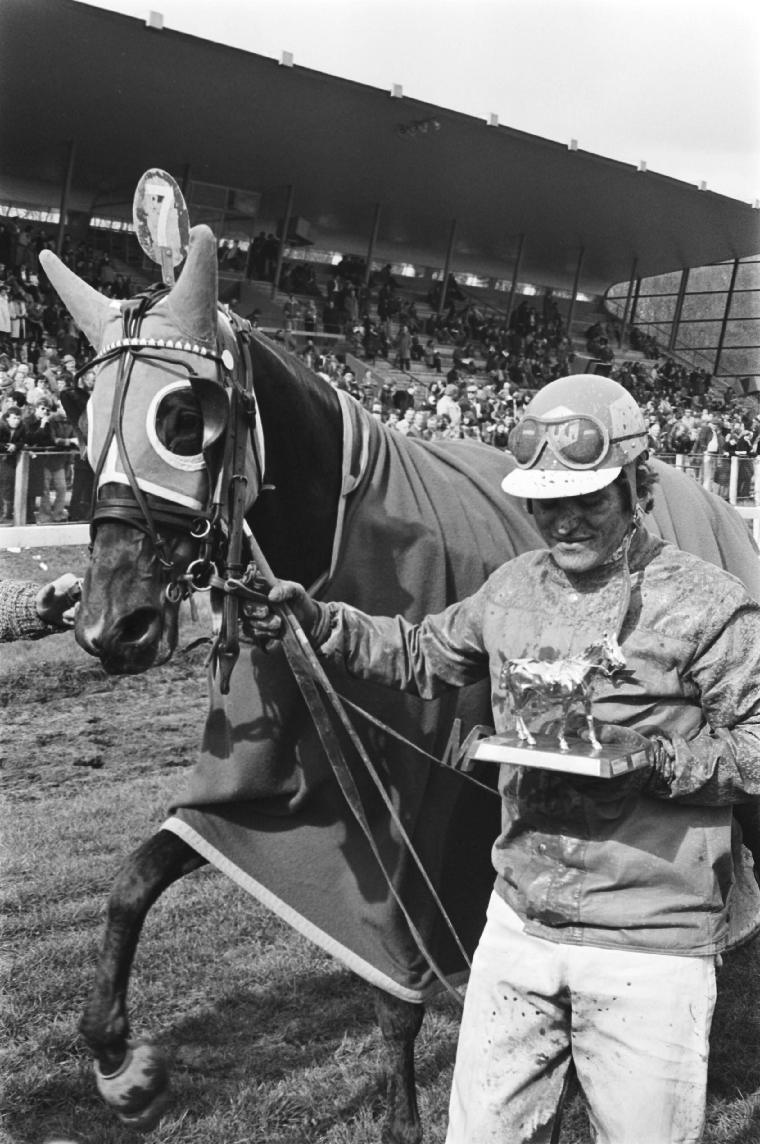 Zilveren Renpaard op renbaan Duindigt (1977) — De winnende combinatie: pikeur Gerard Gommans met Speedy Volita — Foto: Suyk, Koen / Anefo. Licentie: Set B: Rechtenvrij / Publiek Domein. Bron: Nationaal Archief. http://hdl.handle.net/10648/ac9900d4-d0b4-102d-bcf8-003048976d84