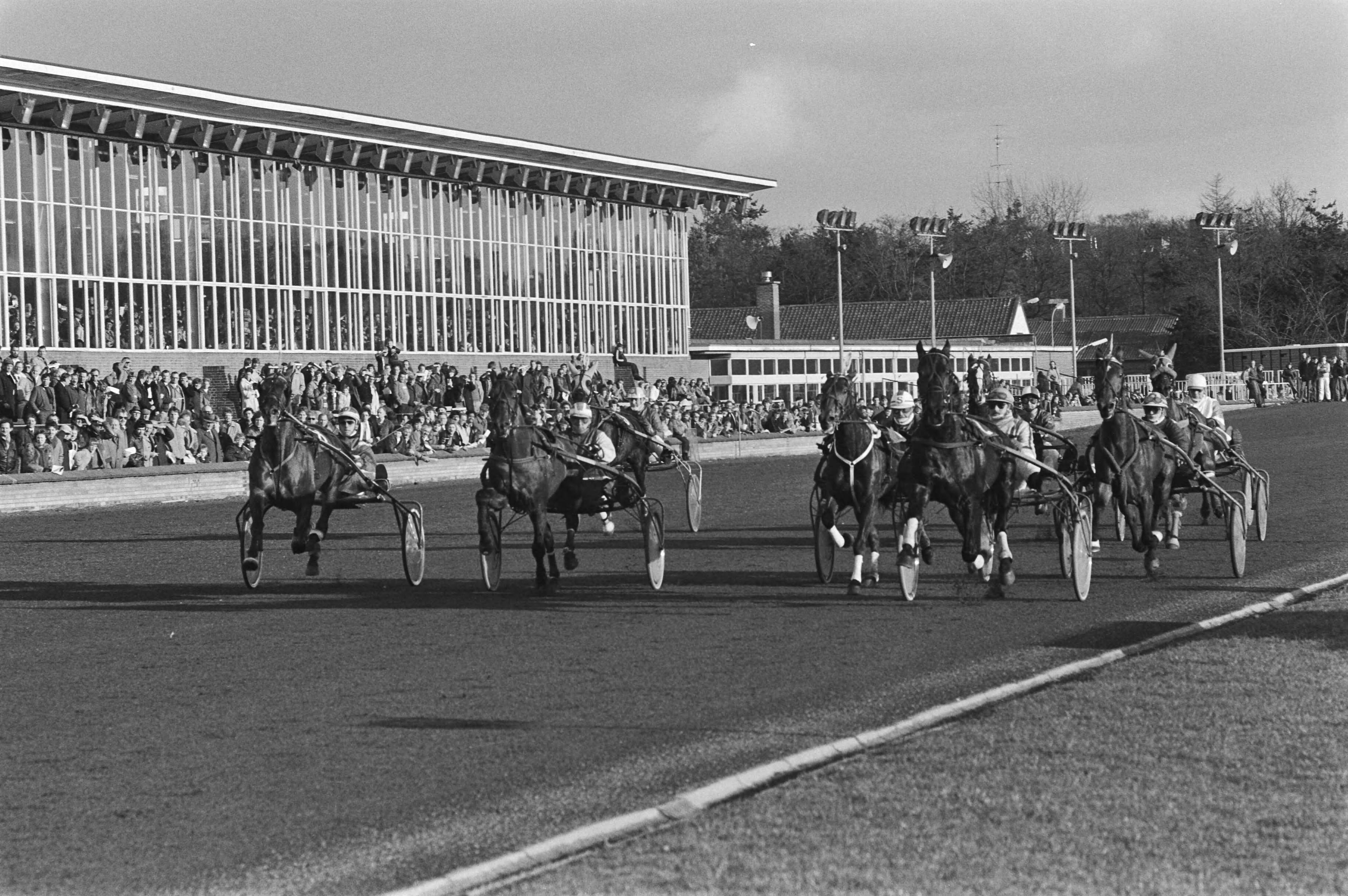 Fotocollectie Anefo — Hilversum, draverij om de Grote Kerstprijs, tweede manch net na de start — Foto: Dijk, Hans van / Anefo. Licentie: Set B: Rechtenvrij / Publiek Domein. Bron: Nationaal Archief. http://hdl.handle.net/10648/acf11a62-d0b4-102d-bcf8-003048976d84