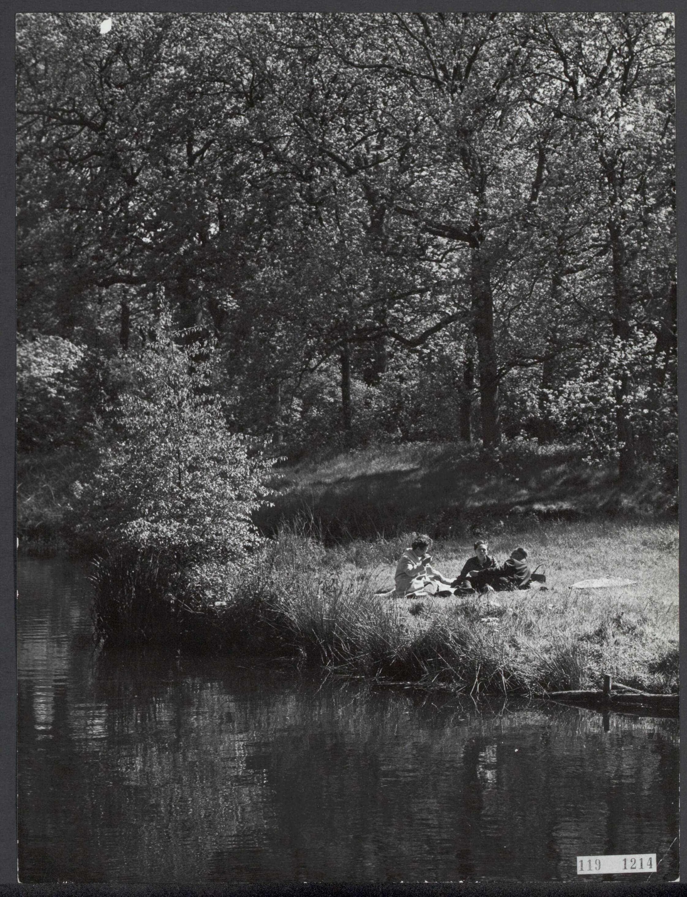 Fotocollectie Rijksvoorlichtingsdienst Eigen — Duinrell. Wassenaar (Recreatie. Boslandschap) — Foto: Rijksvoorlichtingsdienst (RVD). Licentie: Set B: Rechtenvrij / Publiek Domein. Bron: Nationaal Archief. http://hdl.handle.net/10648/af1ef692-d0b4-102d-bcf8-003048976d84