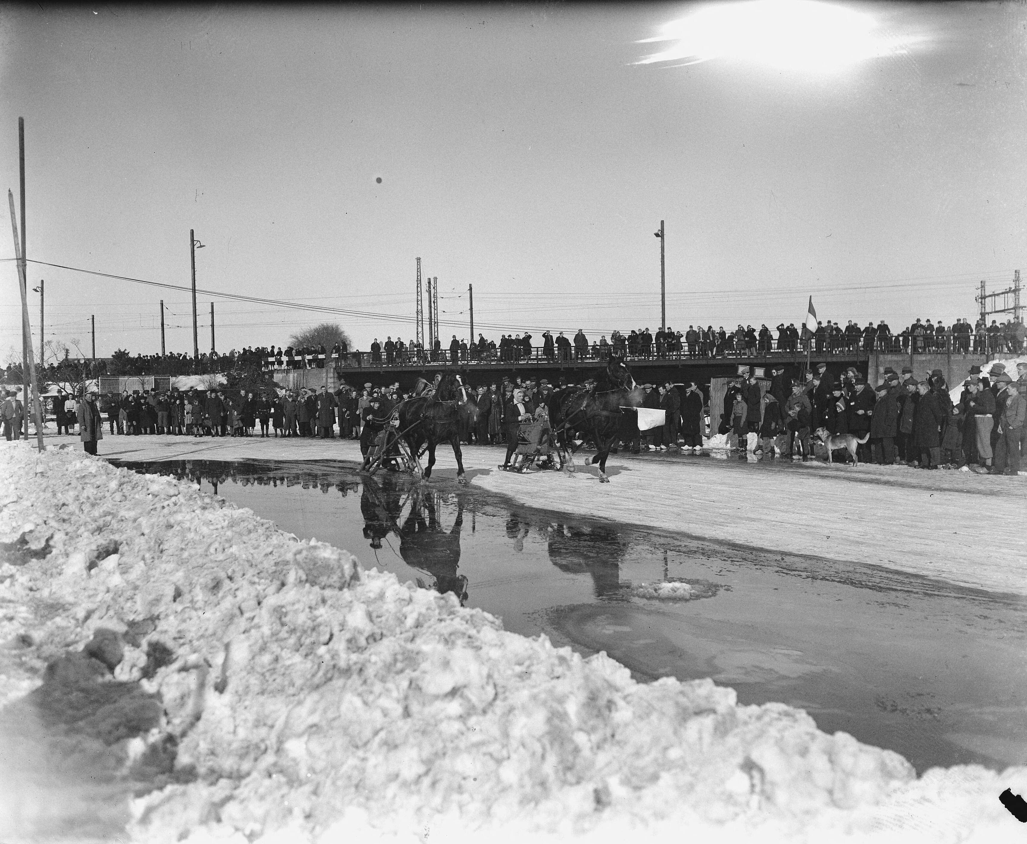 Fotocollectie Anefo — Arrensleden wedstrijd in Halfweg — Foto: Zeylemaker, Co / Anefo. Licentie: Set B: Rechtenvrij / Publiek Domein. Bron: Nationaal Archief. http://hdl.handle.net/10648/a8a57d2c-d0b4-102d-bcf8-003048976d84