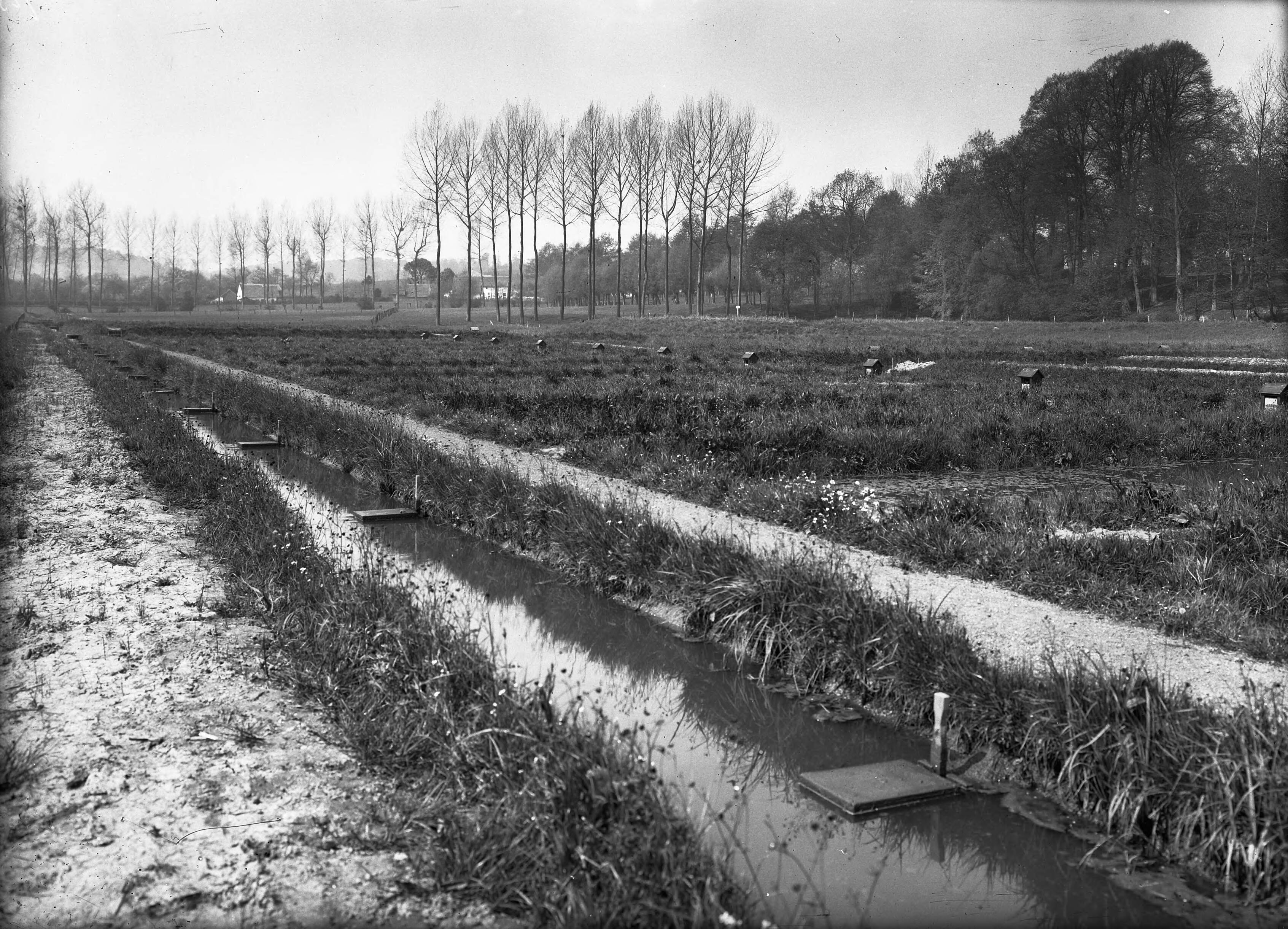 Fotocollectie Nederlandse Heidemaatschappij — Kweekvijvers te Gulpen — Foto: Fotograaf Onbekend / Heidemij. Licentie: Set B: Rechtenvrij / Publiek Domein. Bron: Nationaal Archief. http://hdl.handle.net/10648/ae7c3e20-d0b4-102d-bcf8-003048976d84