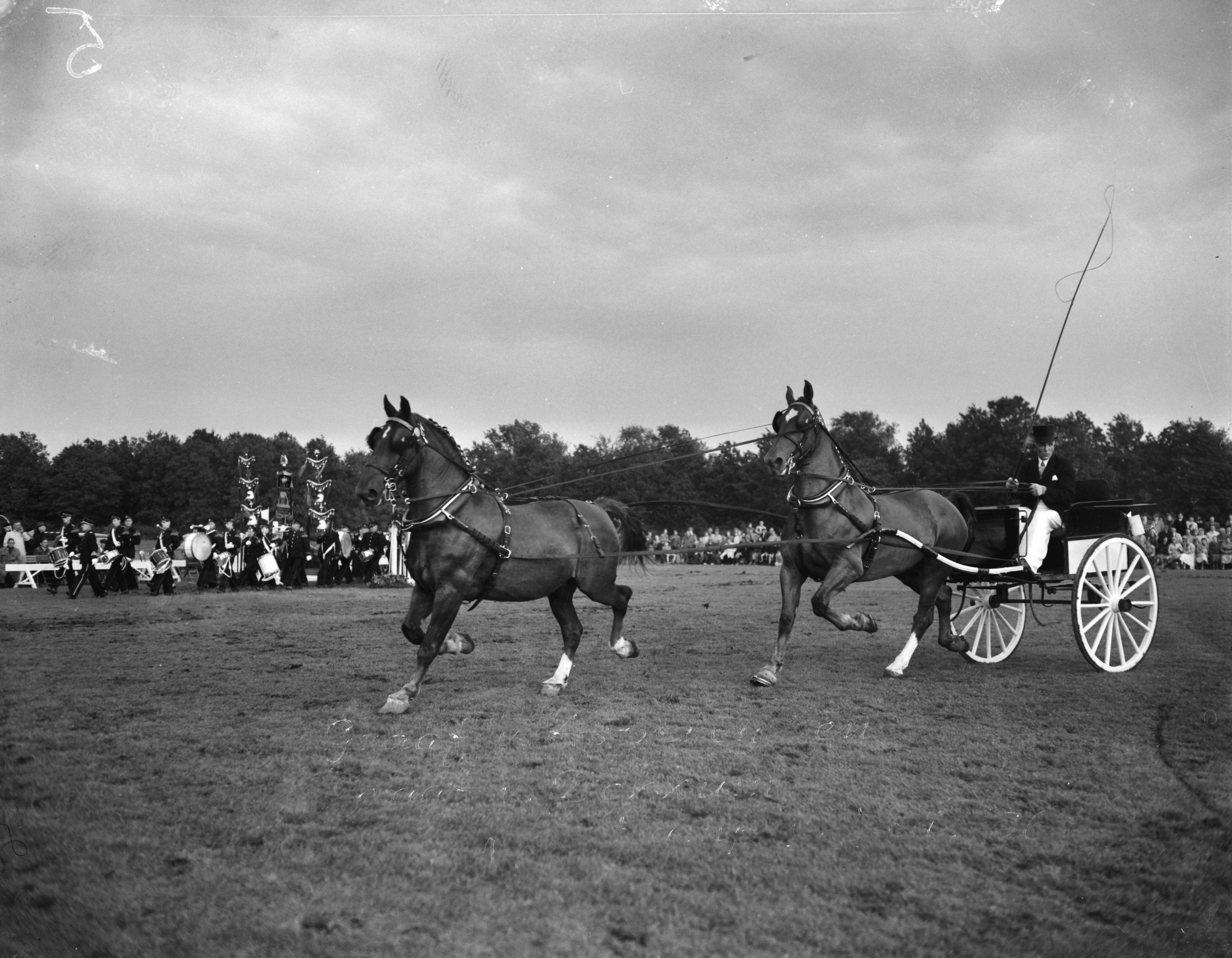 Fotocollectie Anefo — Concours tweespannen tuigpaarden te Groningen. S. Offringa, kampioen Nederland — Foto: Rossem, Wim van / Anefo. Licentie: Set B: Rechtenvrij / Publiek Domein. Bron: Nationaal Archief. http://hdl.handle.net/10648/a94de890-d0b4-102d-bcf8-003048976d84