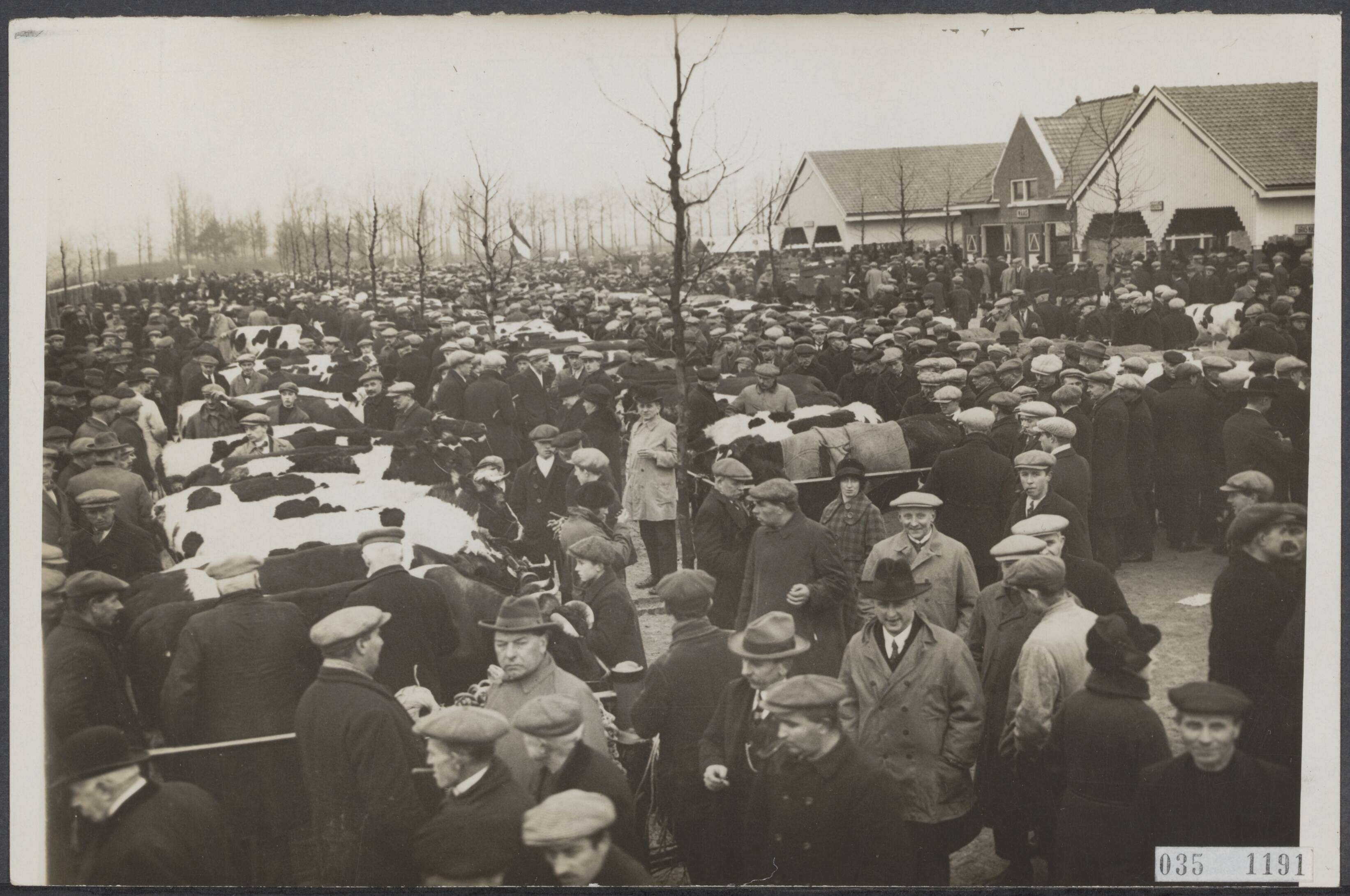 Fotocollectie Elsevier Binnenland — Veemarkt te Breda — Foto: N.V. Vereenigde Fotobureaux. Licentie: Set B: Rechtenvrij / Publiek Domein. Bron: Nationaal Archief. http://hdl.handle.net/10648/adeb8556-d0b4-102d-bcf8-003048976d84