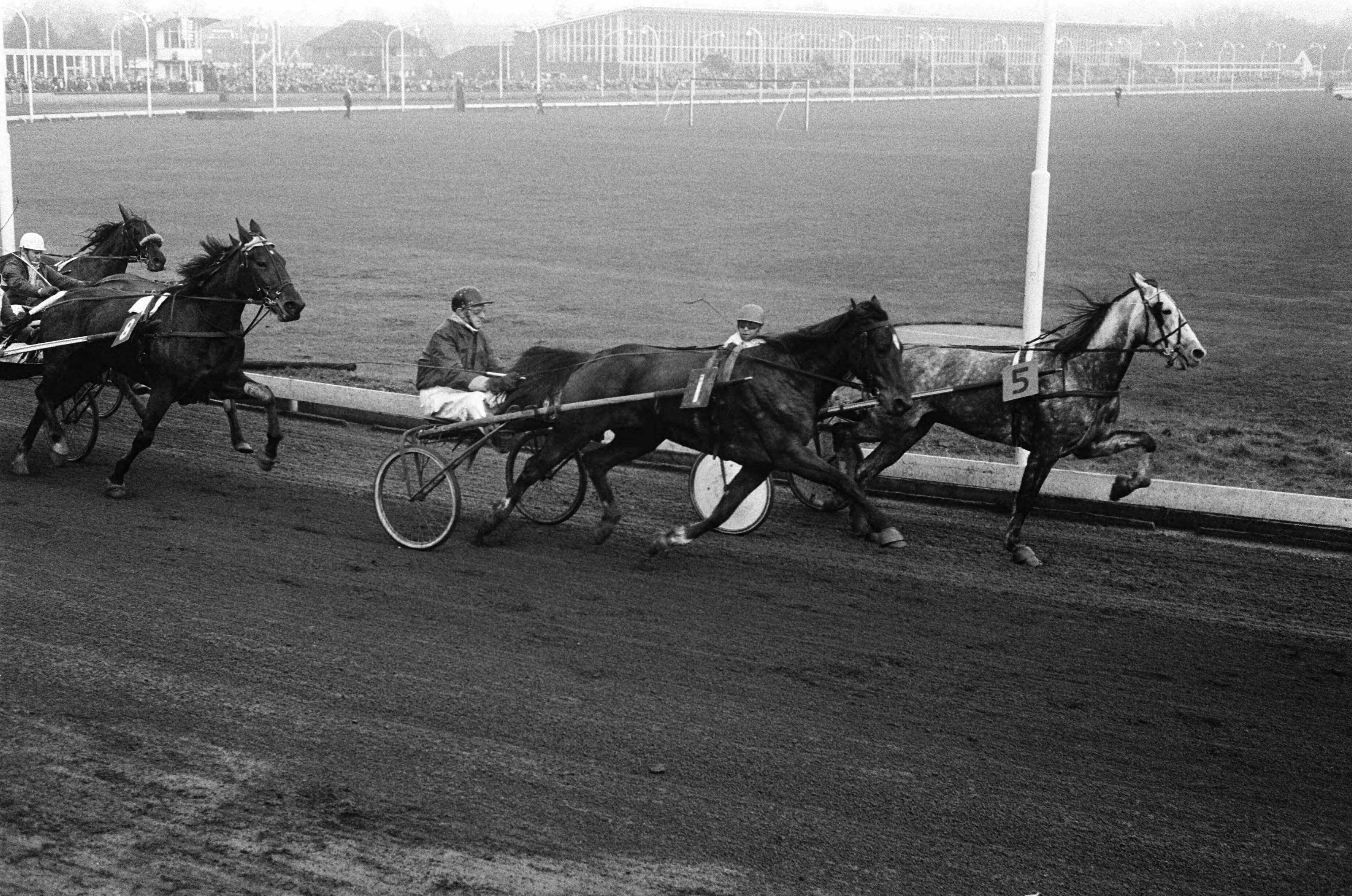 Fotocollectie Anefo — Draverijen om Kerstprijs op renbaan te Hilversum. Nummer 6a Yellow Six (links) in aktie — Foto: Koch, Eric / Anefo. Licentie: Set B: Rechtenvrij / Publiek Domein. Bron: Nationaal Archief. http://hdl.handle.net/10648/ab871c4e-d0b4-102d-bcf8-003048976d84