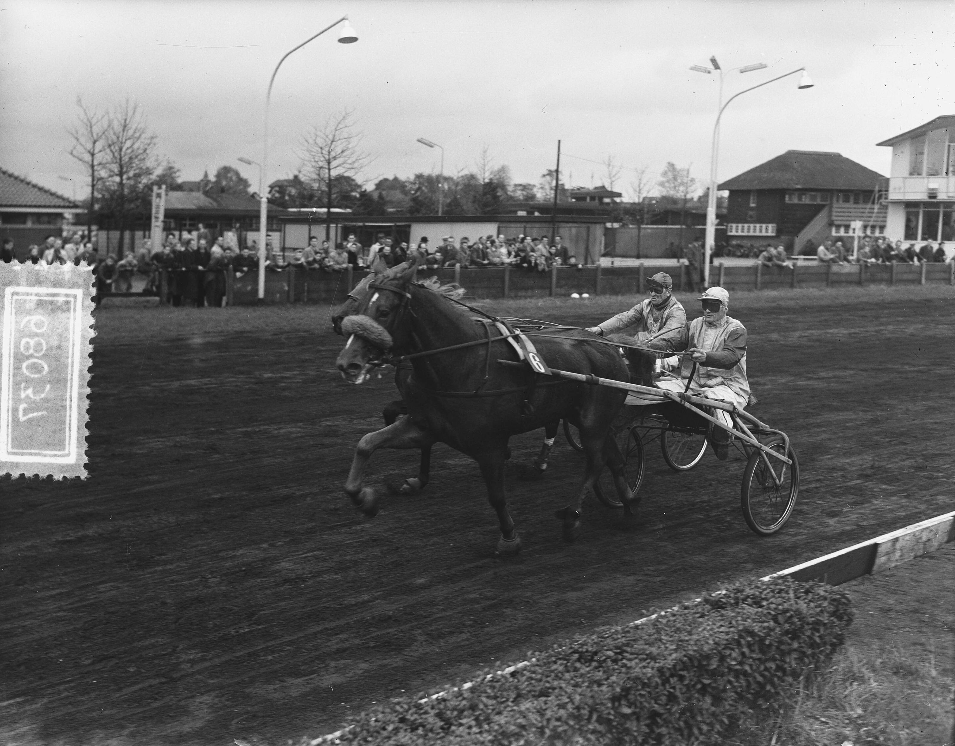 Fotocollectie Anefo — Nederlandse kampioenschap dames-pikeurs te Hilversum — Foto: Duinen, H. van / Anefo. Licentie: Set B: Rechtenvrij / Publiek Domein. Bron: Nationaal Archief. http://hdl.handle.net/10648/a92bd886-d0b4-102d-bcf8-003048976d84