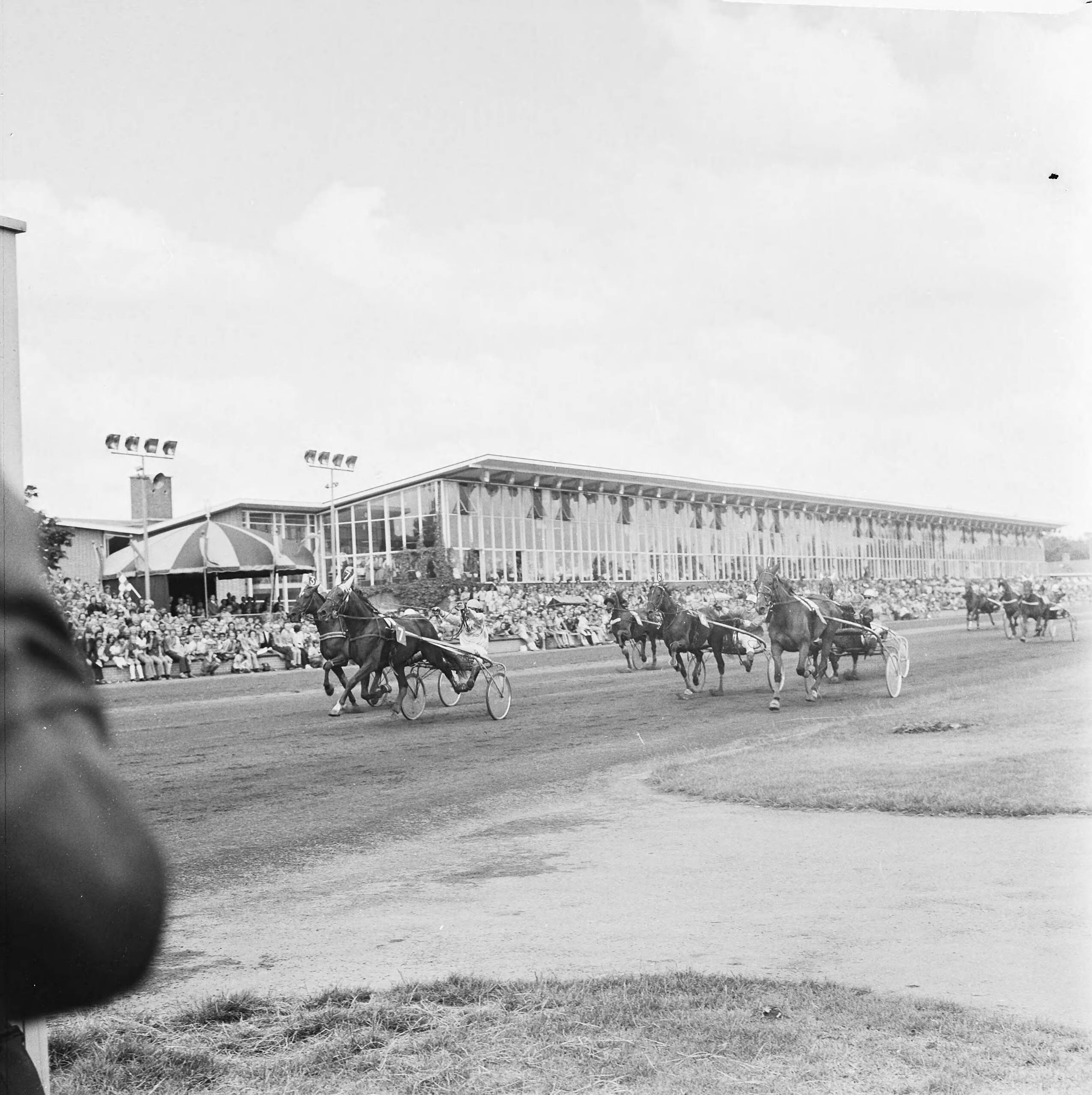Fotocollectie Anefo — Draverij om Gouden Zweep te Hilversum, Jello met Van der Togt gaat als eerste over de finish — Foto: Mieremet, Rob / Anefo. Licentie: Set B: Rechtenvrij / Publiek Domein. Bron: Nationaal Archief. http://hdl.handle.net/10648/ac3137c4-d0b4-102d-bcf8-003048976d84