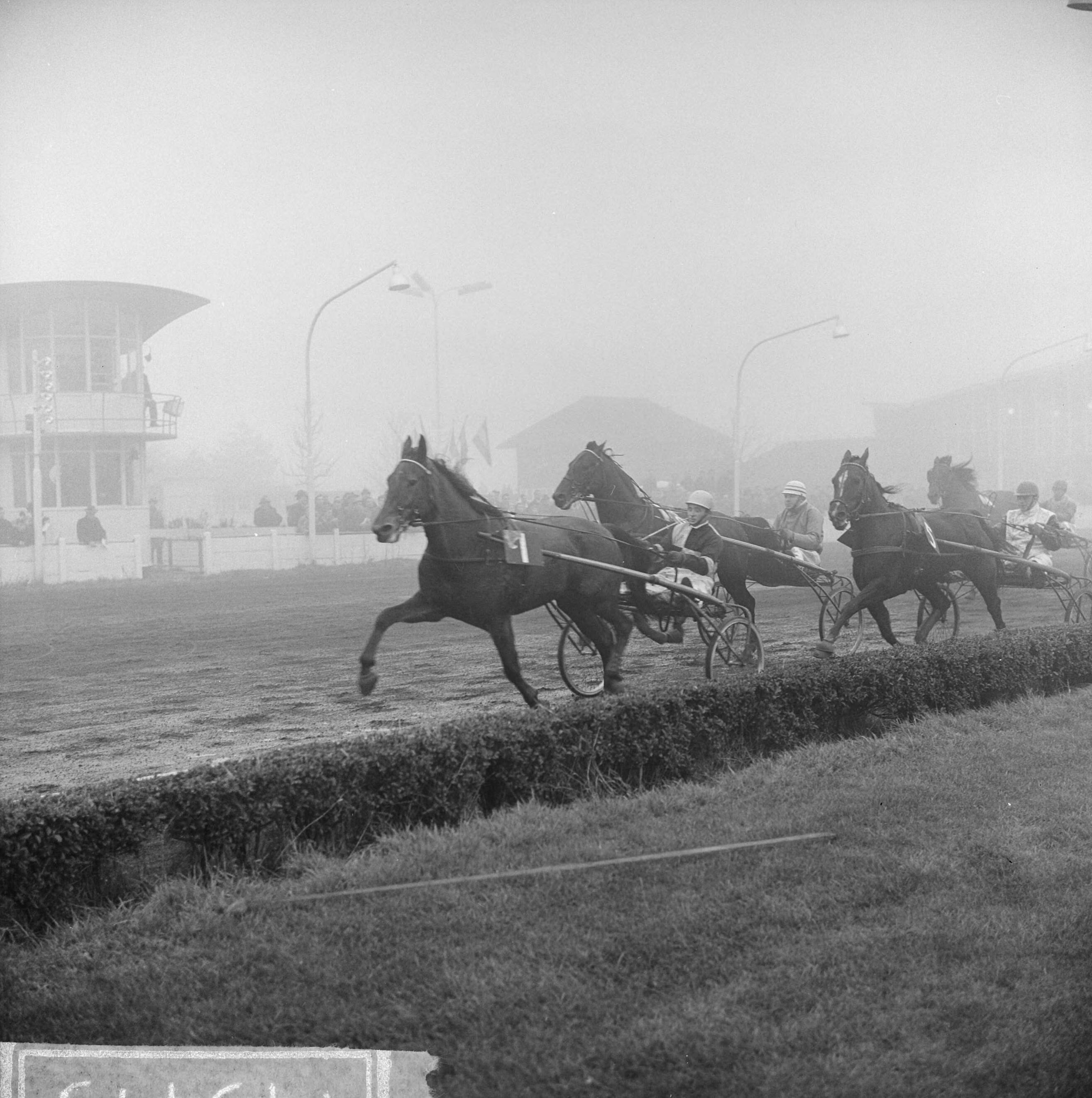 Fotocollectie Anefo — Paardenkoersen te Hilversum. Matadorenprijs, links Quicksilver S (1), midden Harley, rechts Vika Kinley (5) — Foto: Koch, Eric / Anefo. Licentie: Set B: Rechtenvrij / Publiek Domein. Bron: Nationaal Archief. http://hdl.handle.net/10648/aa201e82-d0b4-102d-bcf8-003048976d84