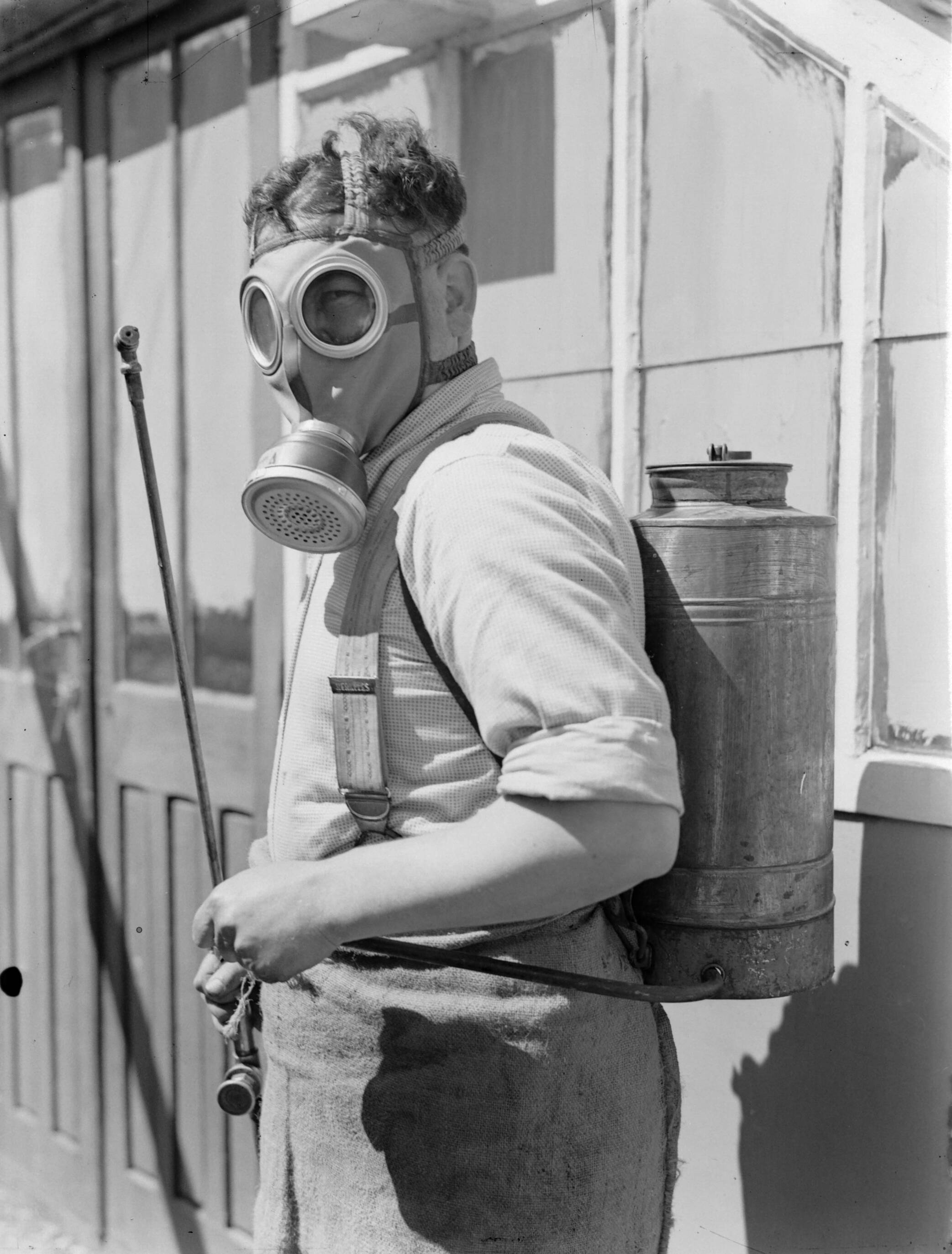 Productfoto's; plantenkas — Arbeider in beschermende uitrusting (gasmasker) voor het besproeien van planten in de kas van de fa. Baardse in Aalsmeer — Foto: Poll, Willem van de. Licentie: Set B: Rechtenvrij / Publiek Domein. Bron: Nationaal Archief. http://hdl.handle.net/10648/ae9ebf2c-d0b4-102d-bcf8-003048976d84