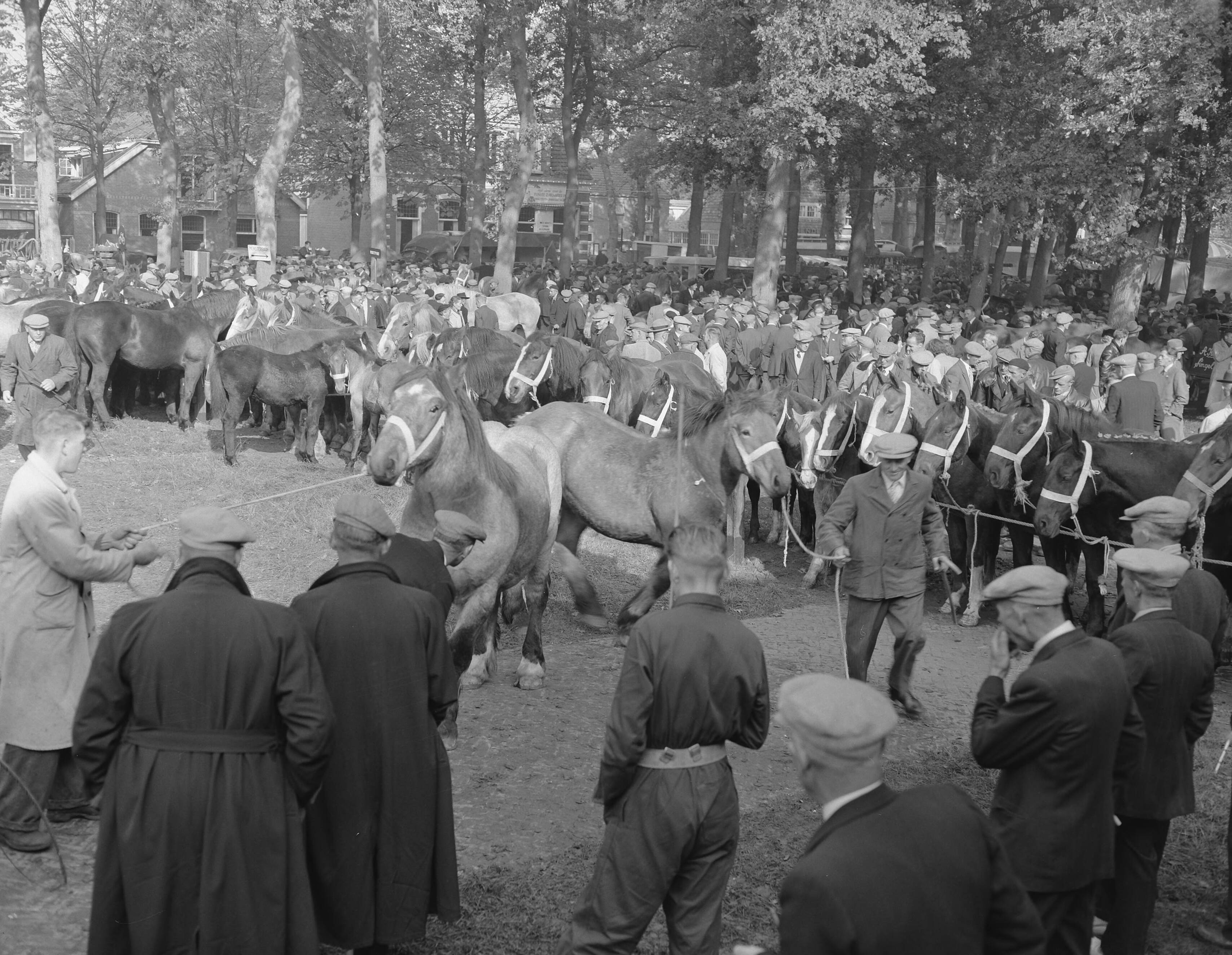 Fotocollectie Anefo — Zuidlaarder paardenmarkt — Foto: Rossem, Wim van / Anefo. Licentie: Set B: Rechtenvrij / Publiek Domein. Bron: Nationaal Archief. http://hdl.handle.net/10648/a950f742-d0b4-102d-bcf8-003048976d84