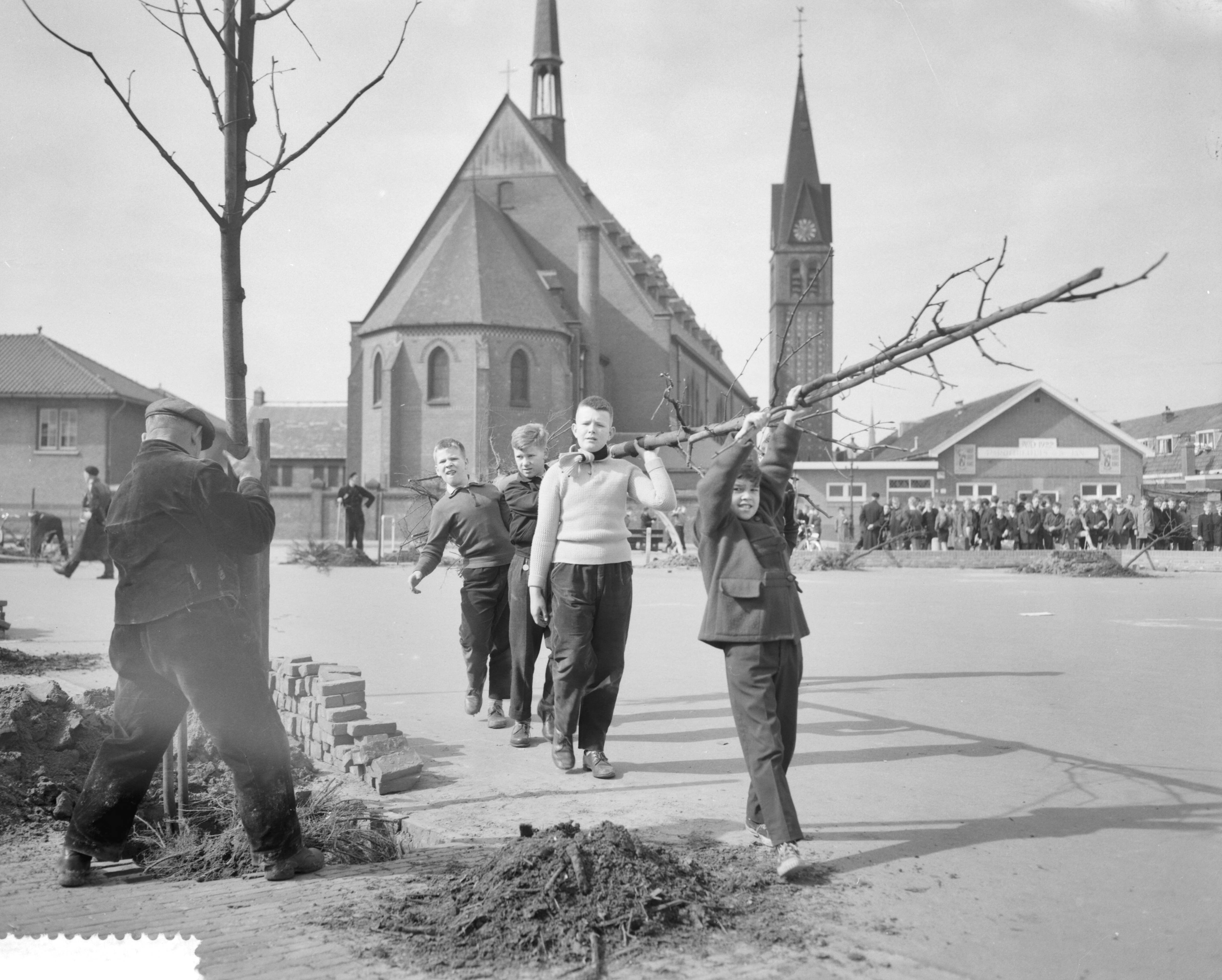 Fotocollectie Anefo — Boomplantdag in Haarlem, platen op het Teijlerplein — Foto: Pot, Harry / Anefo. Licentie: Set B: Rechtenvrij / Publiek Domein. Bron: Nationaal Archief. http://hdl.handle.net/10648/a9abfc28-d0b4-102d-bcf8-003048976d84