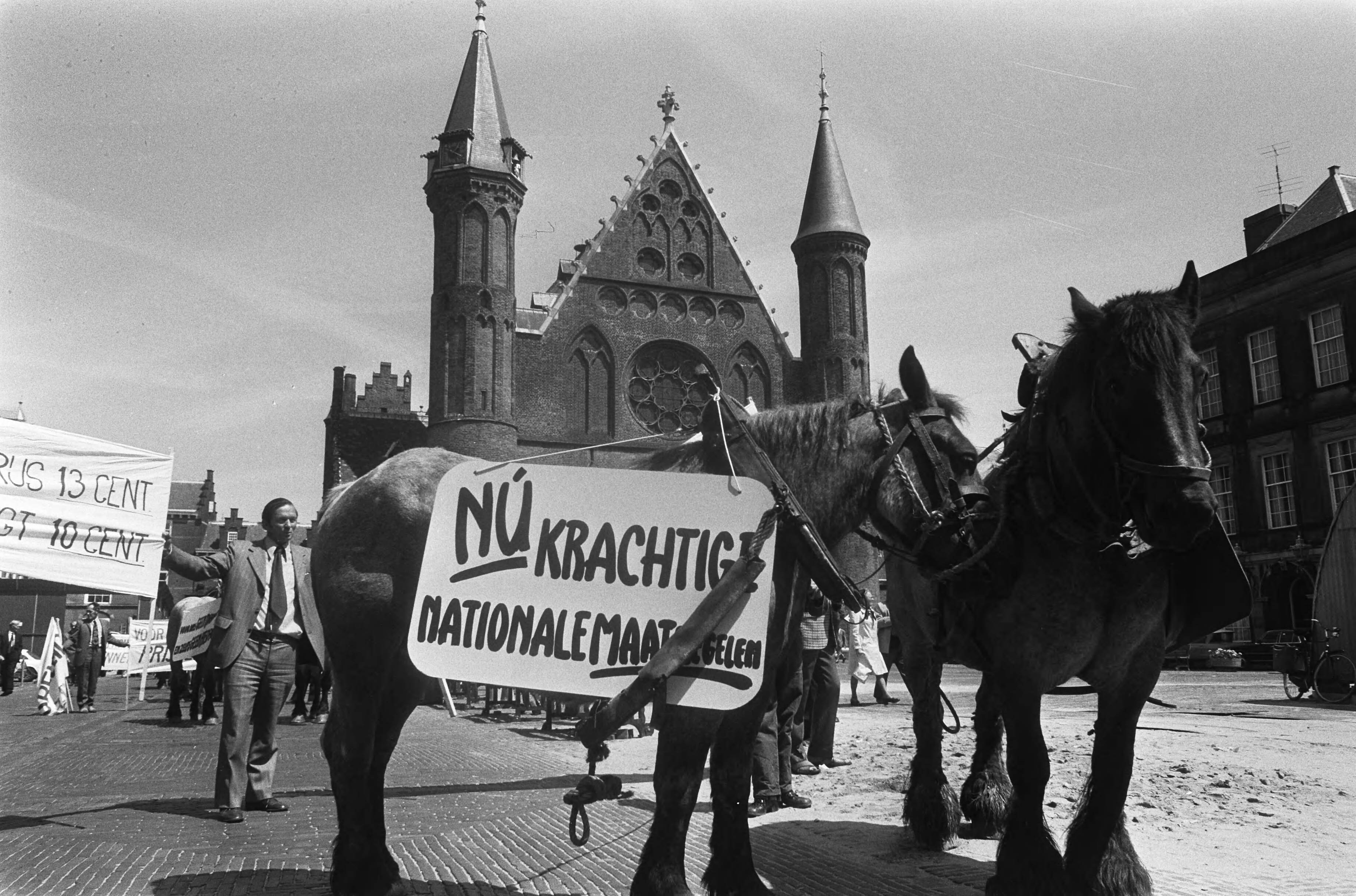 Demonstratie in Den Haag van boeren en tuinders voor betere sociale maatregelen — Paarden met spandoeken op het Binnenhof — Foto: Peters, Hans / Anefo. Licentie: Set B: Rechtenvrij / Publiek Domein. Bron: Nationaal Archief. http://hdl.handle.net/10648/ac6b33de-d0b4-102d-bcf8-003048976d84