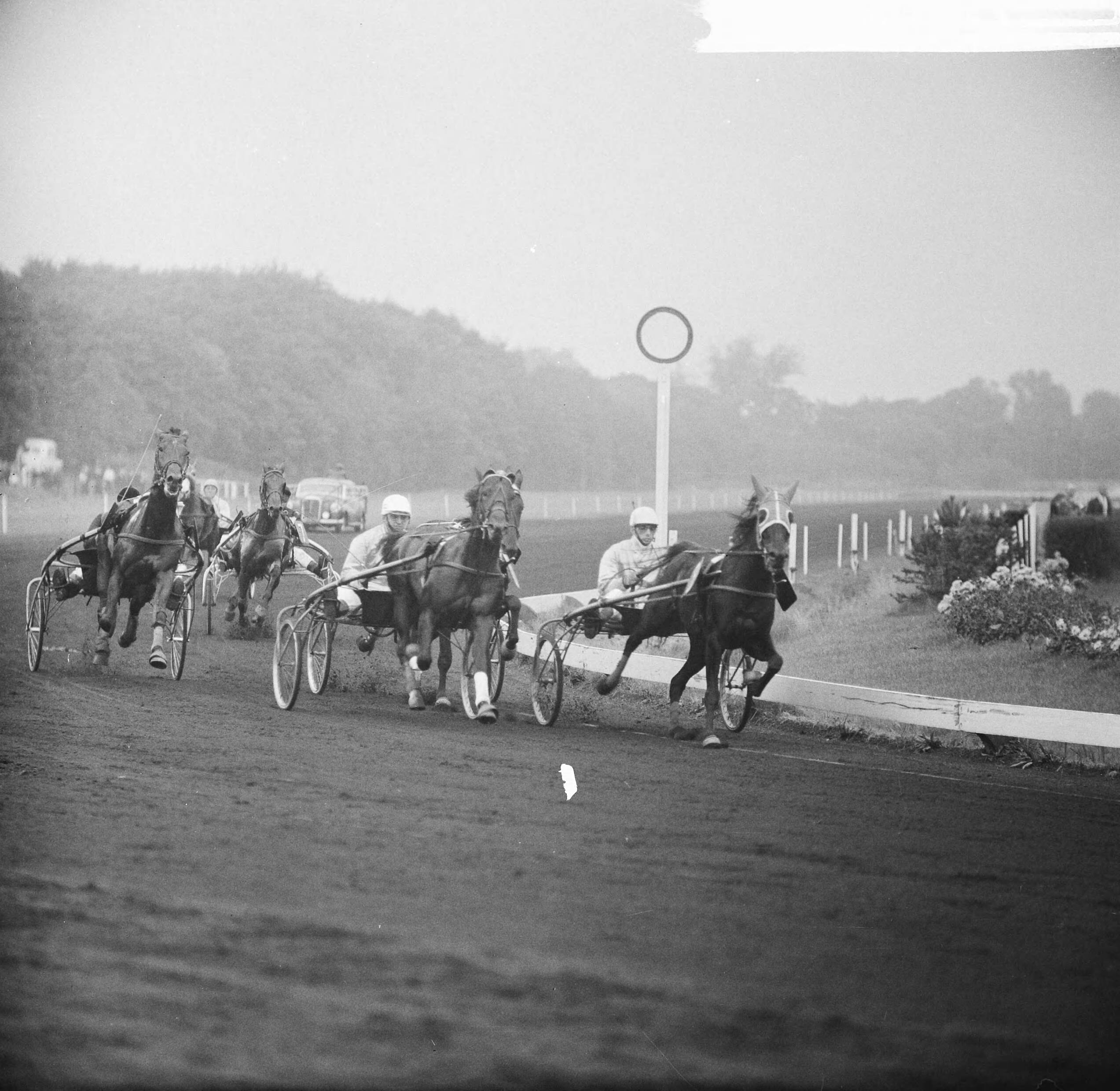 Fotocollectie Anefo — Draversinterlang Nederland-België op Duindigt, koers voor 3-jarigen de Nederland-Belgiëprijs over 2000 meter, winnaar Diana R. met Jan Wagenaar aan kop aan de binnenzijde — Foto: Nijs, Jac. de / Anefo. Licentie: Set B: Rechtenvrij / Publiek Domein. Bron: Nationaal Archief. http://hdl.handle.net/10648/aac221be-d0b4-102d-bcf8-003048976d84