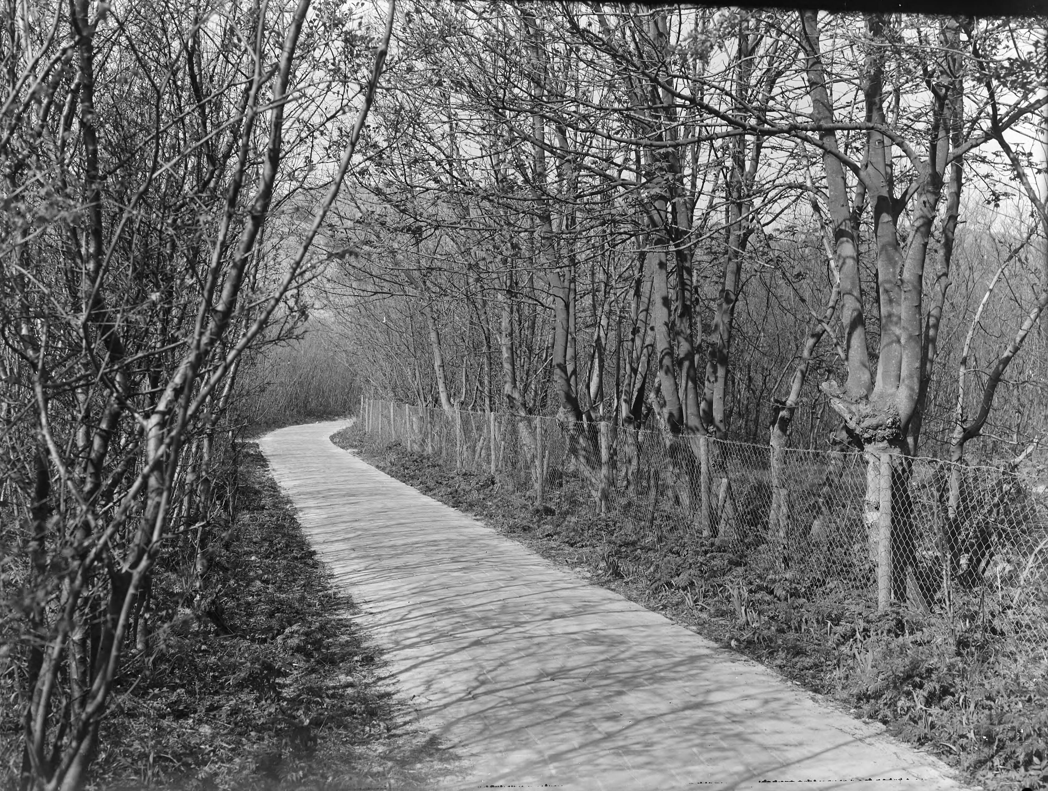 Fotocollectie Nederlandse Heidemaatschappij — Rijwielpad onder Biggekerke (Zeeland) — Foto: Wassink, [...] / Heidemij. Licentie: Set B: Rechtenvrij / Publiek Domein. Bron: Nationaal Archief. http://hdl.handle.net/10648/ae6f543a-d0b4-102d-bcf8-003048976d84