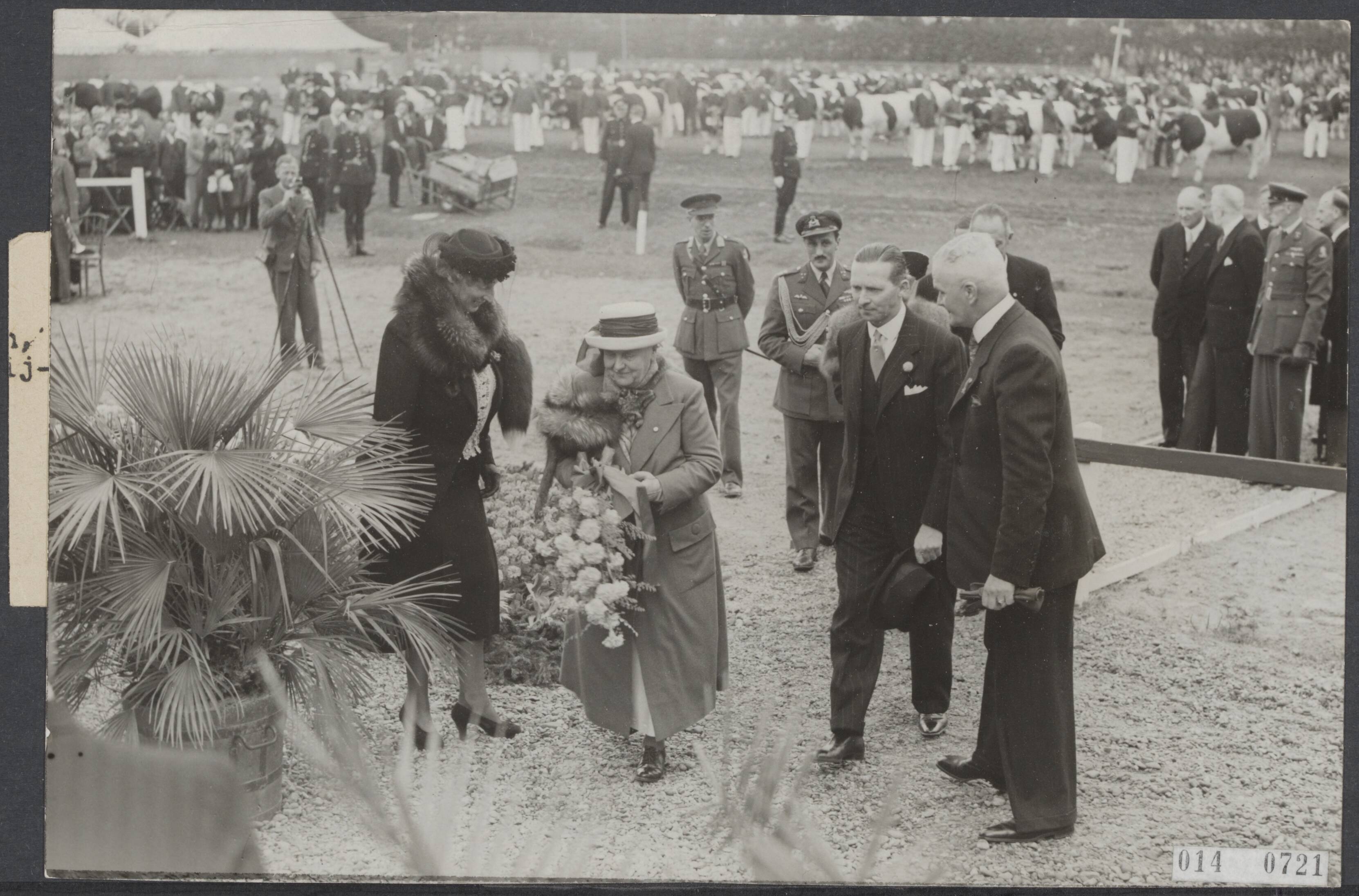 Fotocollectie Elsevier Binnenland — Koningin Wilhelmina brengt een bezoek aan de Friese Landbouwtentoonstelling te Leeuwarden alwaar zij een grote keuring van het stamboekvee bijwoonde. De koningin arriveert op het terrein waar het defilé van het stamboekvee plaats vond. — Foto: ANP / RVD of rechtenvrij. Licentie: Set B: Rechtenvrij / Publiek Domein. Bron: Nationaal Archief. http://hdl.handle.net/10648/adb18432-d0b4-102d-bcf8-003048976d84