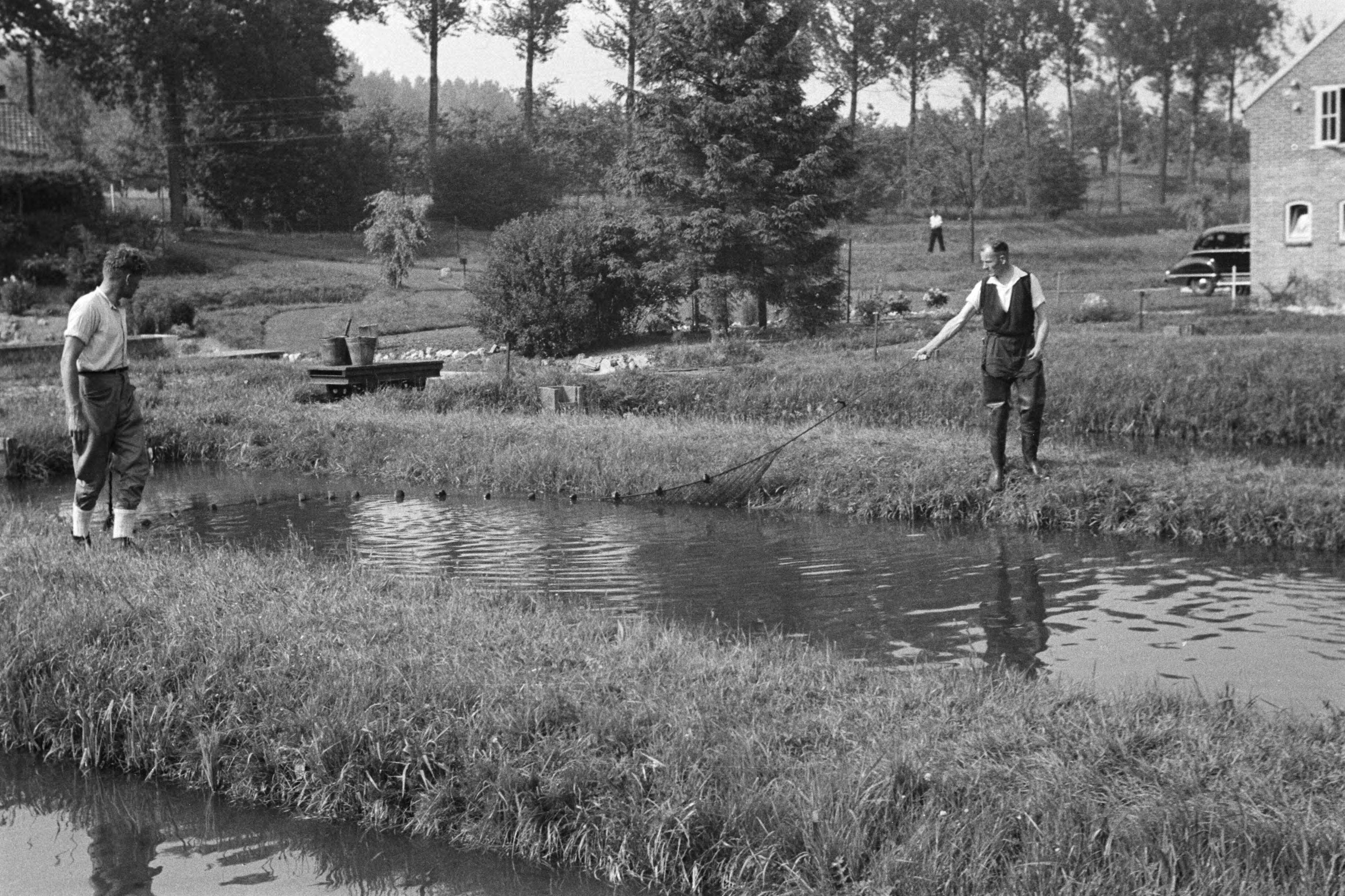 Fotocollectie Nederlandse Heidemaatschappij — Gulpen|visserij |viskwekerijen |forellenvijvers |forellenzegen |trekken — Foto: Fotograaf Onbekend / Heidemij. Licentie: Set B: Rechtenvrij / Publiek Domein. Bron: Nationaal Archief. http://hdl.handle.net/10648/ae89ec82-d0b4-102d-bcf8-003048976d84