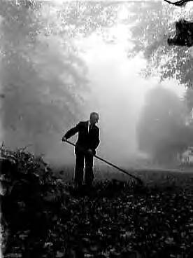 Fotocollectie Anefo — Herfst in de Haarlemmerhout in Haarlem — Foto: Pot, Harry / Anefo. Licentie: Set B: Rechtenvrij / Publiek Domein. Bron: Nationaal Archief. http://hdl.handle.net/10648/a96bf10a-d0b4-102d-bcf8-003048976d84