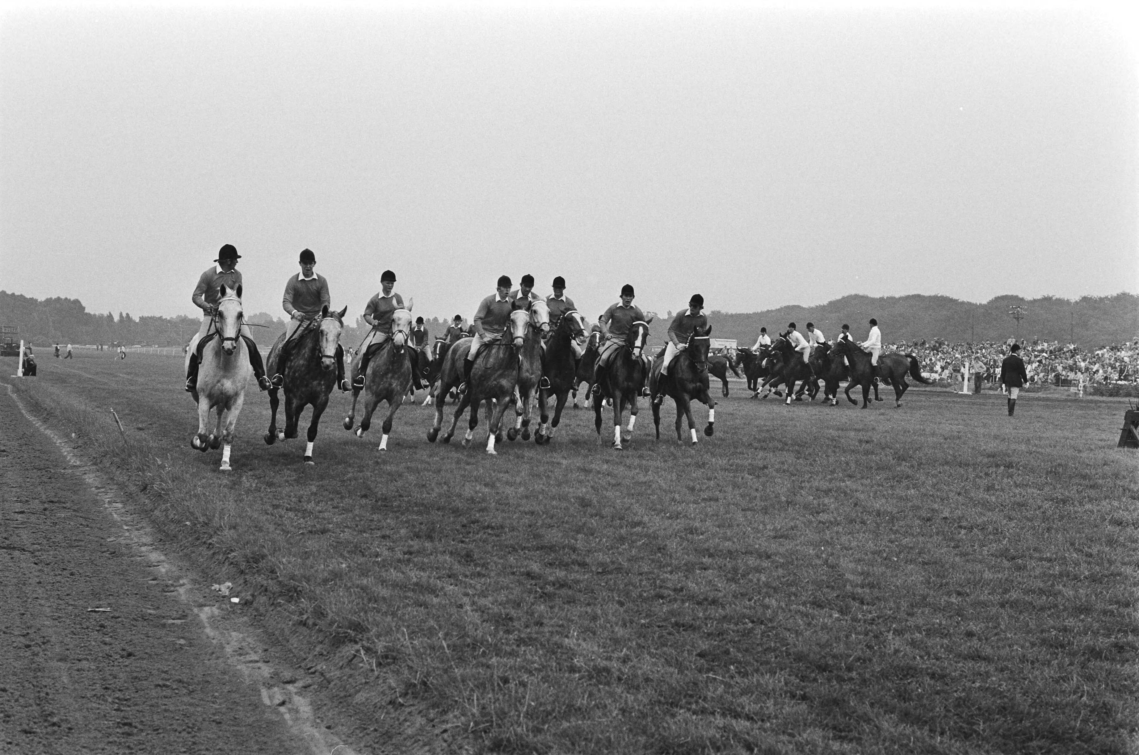 Fotocollectie Anefo — Dag van het paard op Duindigt; overzichten tijdens paardendemonstraties — Foto: Peters, Hans / Anefo. Licentie: Set B: Rechtenvrij / Publiek Domein. Bron: Nationaal Archief. http://hdl.handle.net/10648/acb93552-d0b4-102d-bcf8-003048976d84