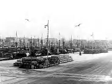 Fotocollectie Anefo — Haringvaten in de haven van Scheveningen — Foto: Duinen, H. van / Anefo. Licentie: Set B: Rechtenvrij / Publiek Domein. Bron: Nationaal Archief. http://hdl.handle.net/10648/a8f57304-d0b4-102d-bcf8-003048976d84