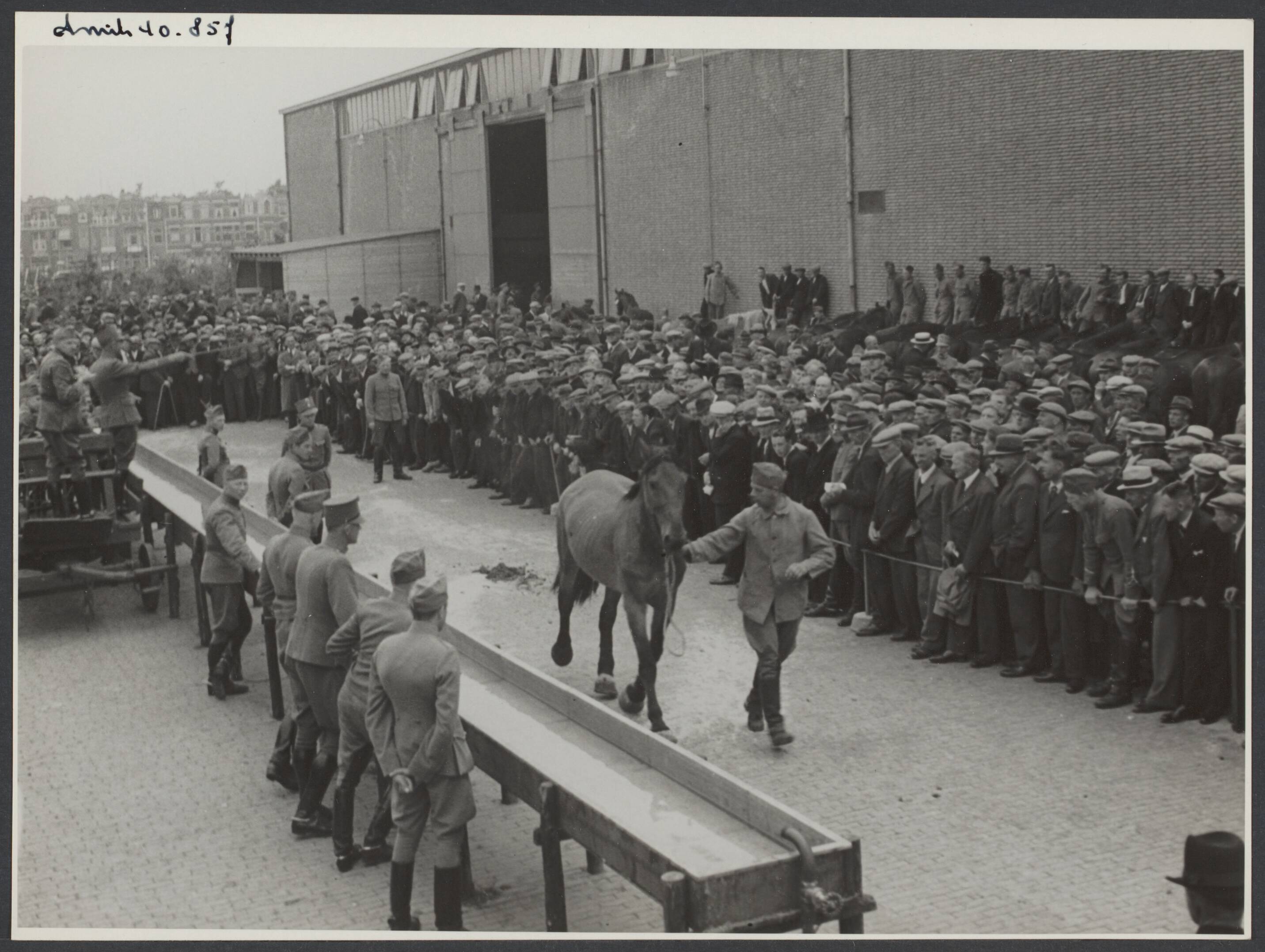 Demobilisatie 1940 — Den Haag. Legerpaarden worden verkocht ten behoeve van de Nederlandse landbouwers. De paarden worden voorgeleid — Foto: Smits, Roeland Pieter / Spaarnestad. Licentie: Set B: Rechtenvrij / Publiek Domein. Bron: Nationaal Archief. http://hdl.handle.net/10648/4894dfb2-e983-6e4d-bbb9-cf0f9b11cbca