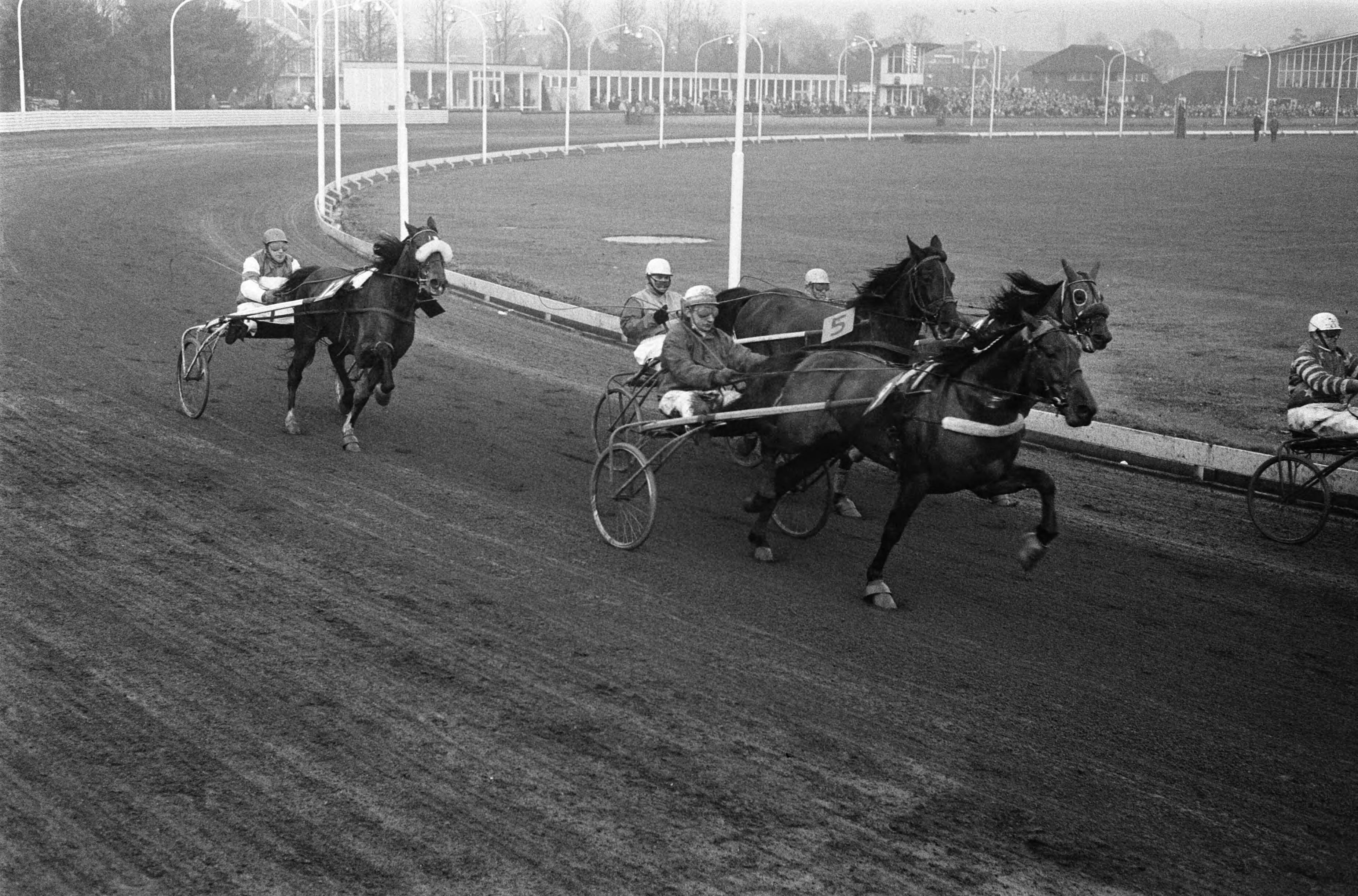 Fotocollectie Anefo — Draverijen om Kerstprijs op renbaan te Hilversum. Nummer 10 Anton in aktie, nummer 12 El Hadie in aktie — Foto: Koch, Eric / Anefo. Licentie: Set B: Rechtenvrij / Publiek Domein. Bron: Nationaal Archief. http://hdl.handle.net/10648/ab871d70-d0b4-102d-bcf8-003048976d84