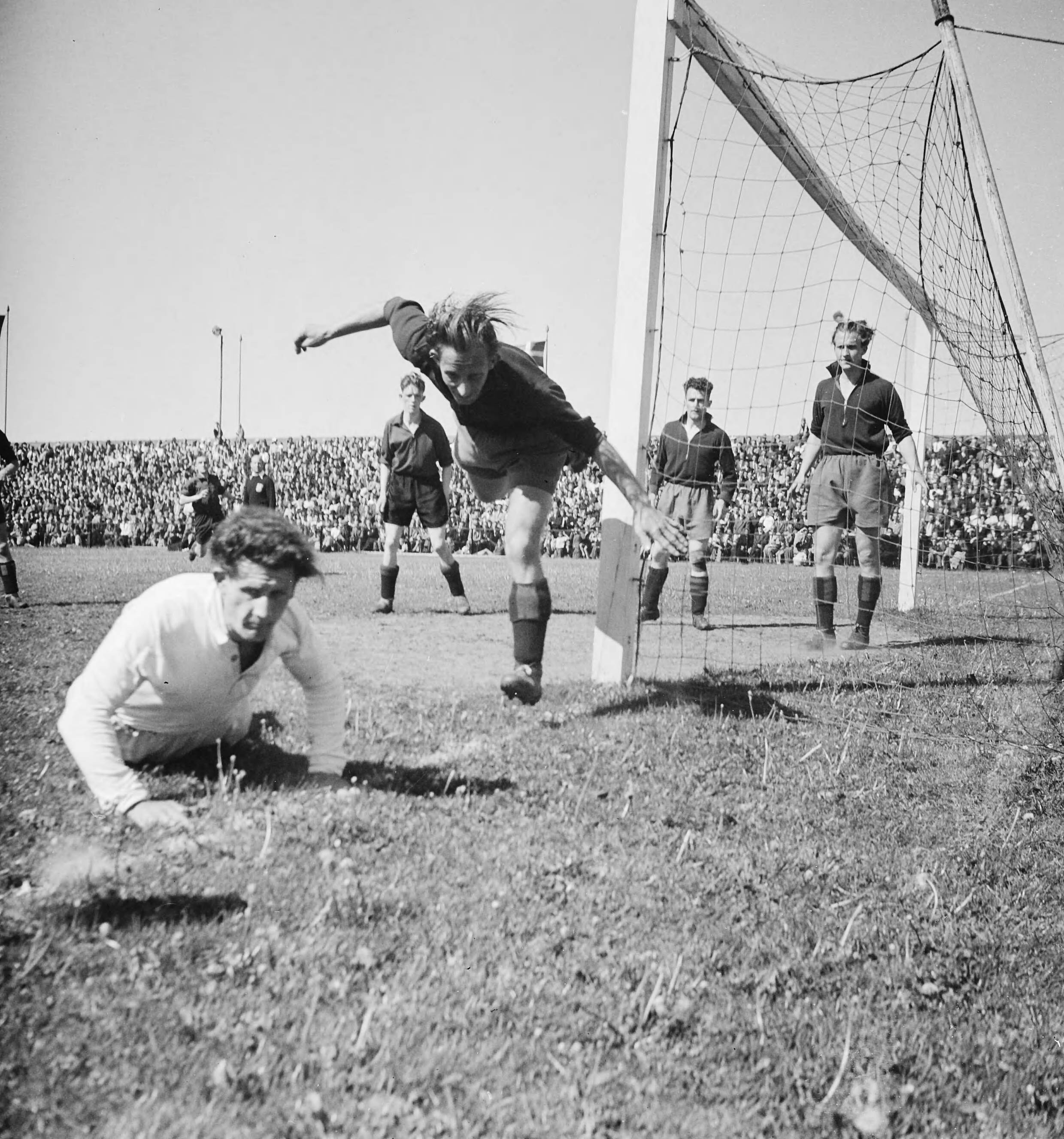 Fotocollectie Anefo — Voetbal. Haarlem tegen BVV 2-0. Spelmoment — Foto: Valk, […] van der / Anefo. Licentie: Set B: Rechtenvrij / Publiek Domein. Bron: Nationaal Archief. http://hdl.handle.net/10648/ad7aee0e-d0b4-102d-bcf8-003048976d84