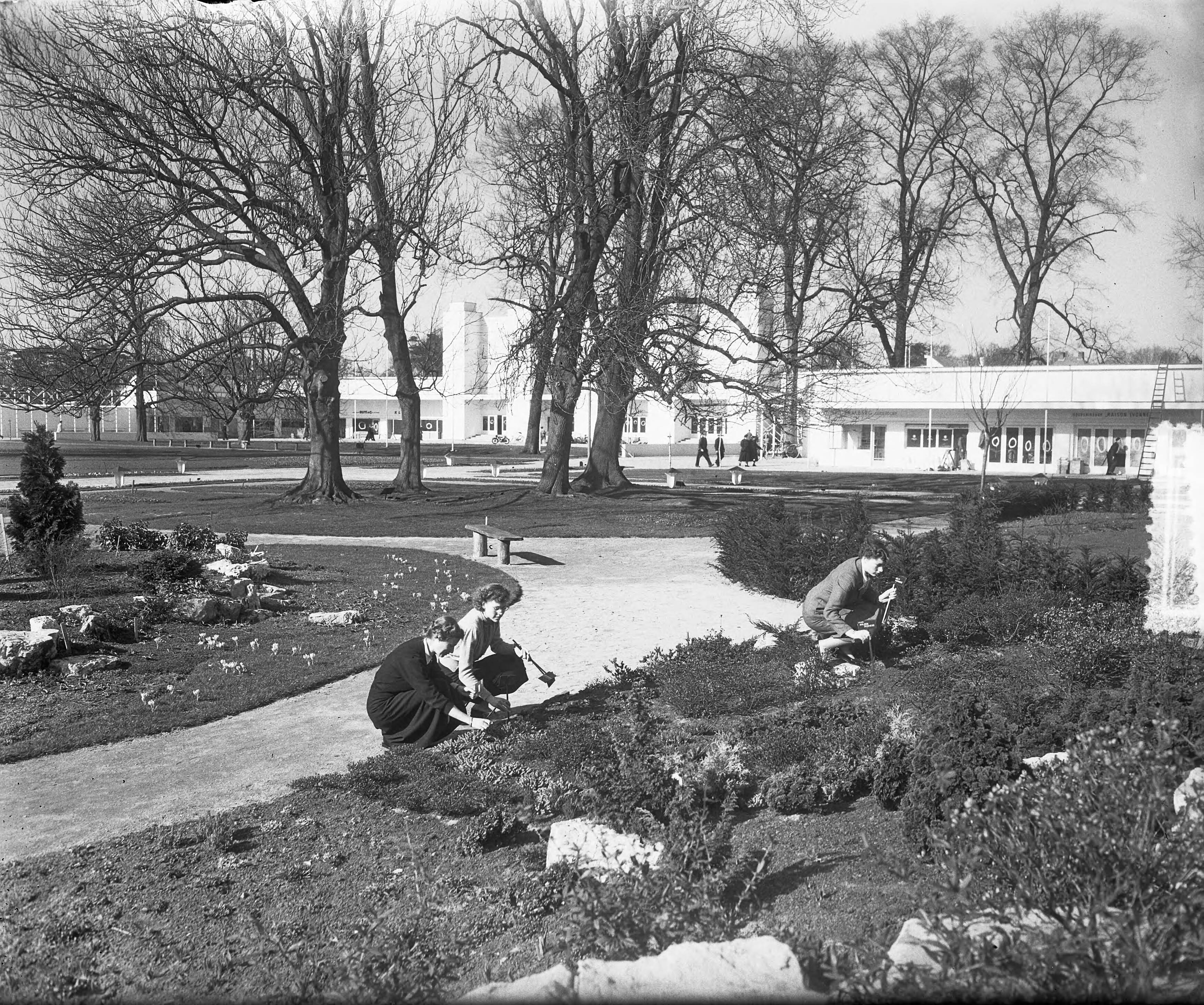 Overzichten bloementuin "Flora" te Heemstede — Foto: Pot, Harry / Anefo. — Licentie: Set B: Rechtenvrij / Publiek Domein. Bron: Nationaal Archief. http://hdl.handle.net/10648/a907e930-d0b4-102d-bcf8-003048976d84