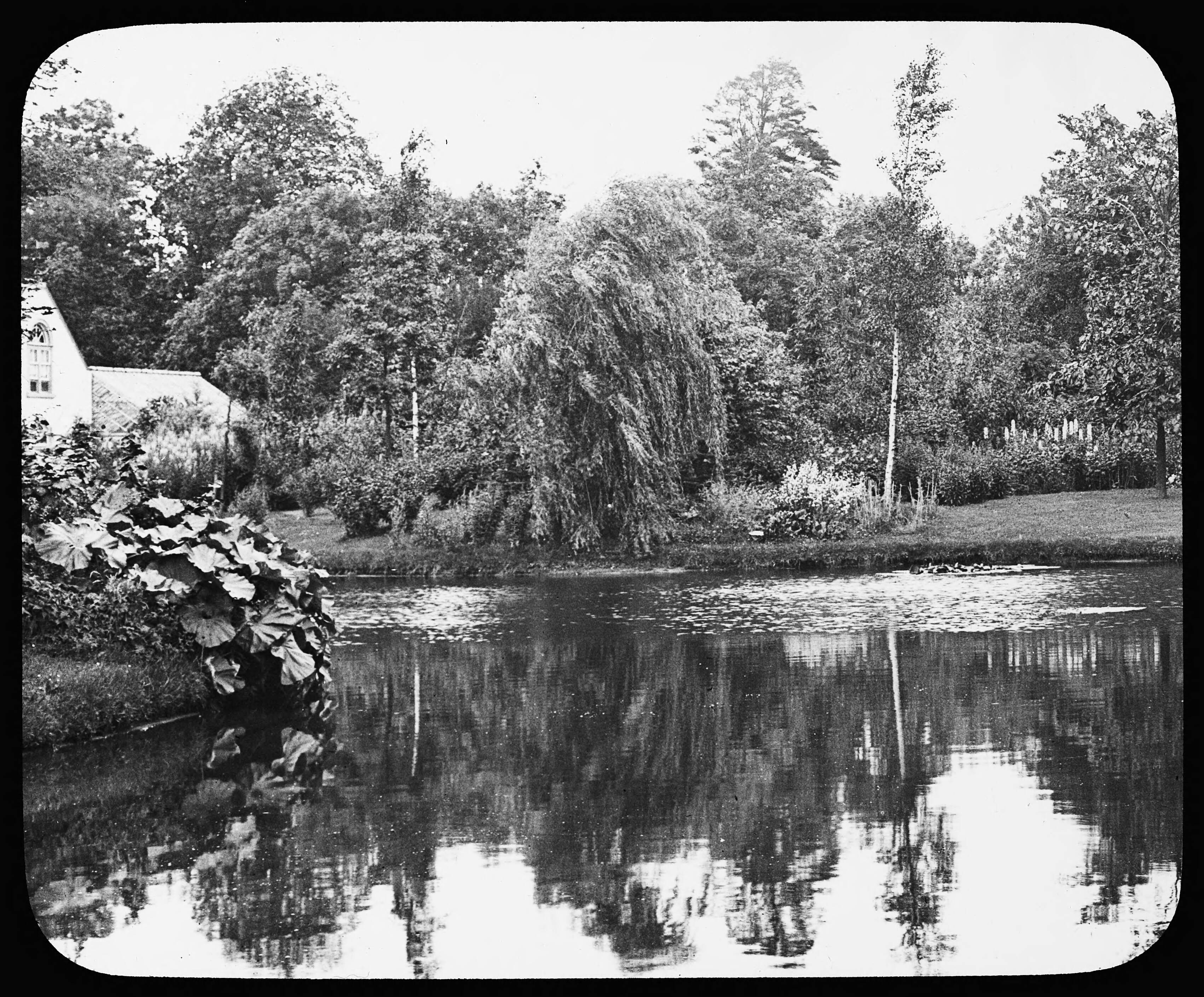 Fotocollectie Nederlandse Heidemaatschappij — parkgezicht — Foto: Fotograaf Onbekend / Heidemij. Licentie: Set B: Rechtenvrij / Publiek Domein. Bron: Nationaal Archief. http://hdl.handle.net/10648/ae49bbda-d0b4-102d-bcf8-003048976d84