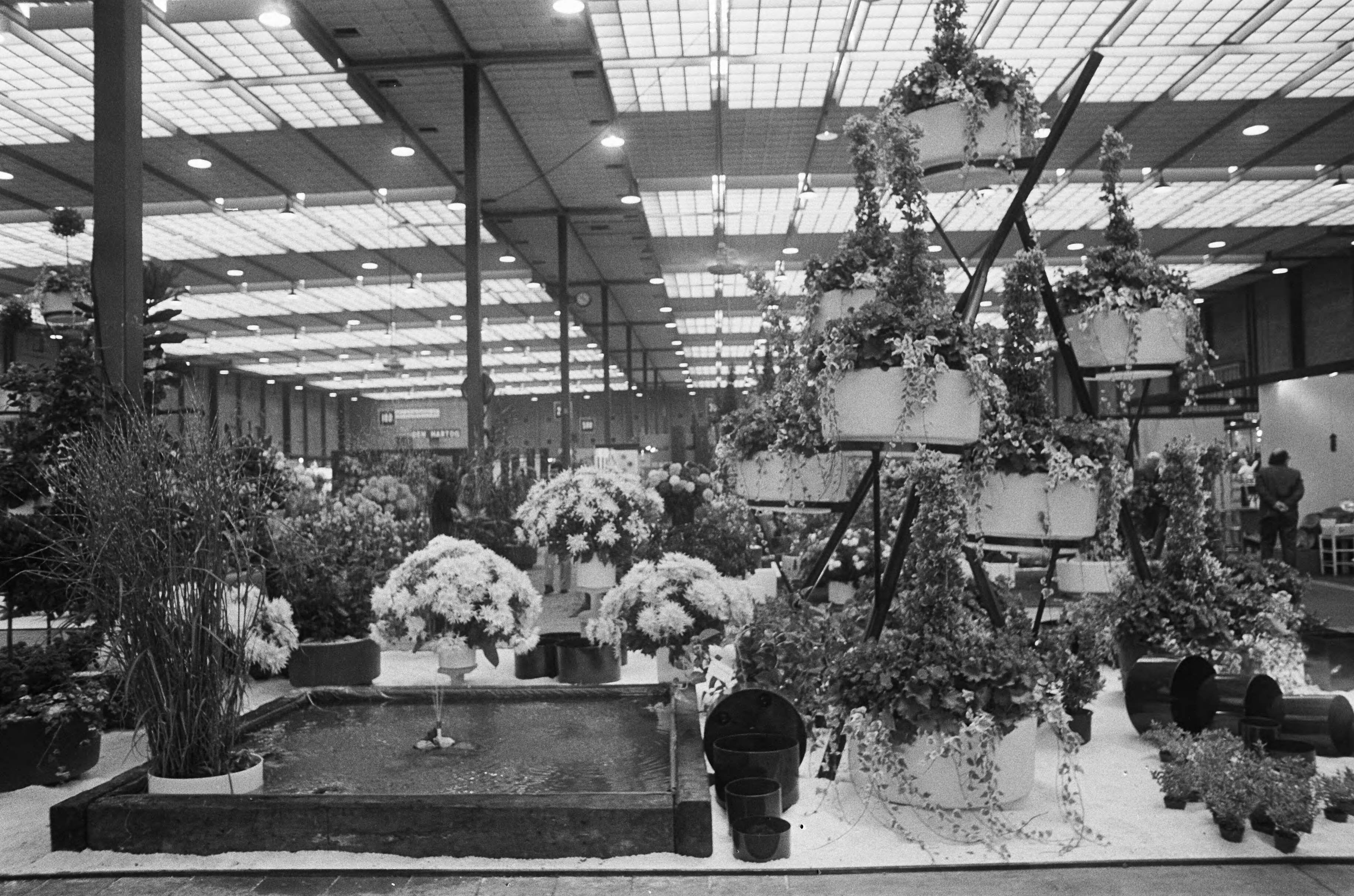 Fotocollectie Anefo — Bloemententoonstelling in Utrecht — Foto: Peters, Hans / Anefo. Licentie: Set B: Rechtenvrij / Publiek Domein. Bron: Nationaal Archief. http://hdl.handle.net/10648/ac561daa-d0b4-102d-bcf8-003048976d84
