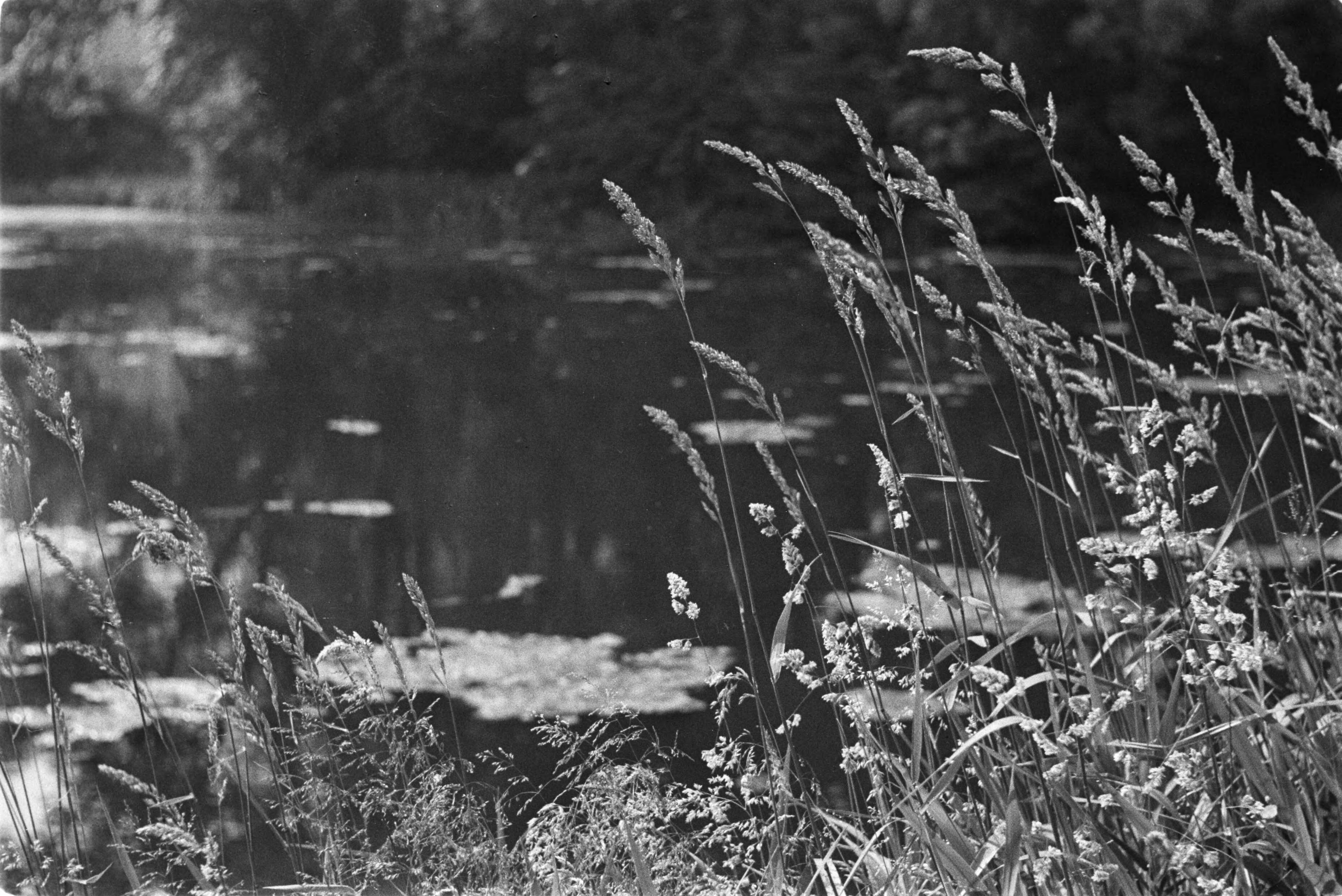 Fotocollectie Nederlandse Heidemaatschappij — Gulpen|visserij |viskwekerijen |instroomvijvers — Foto: Fotograaf Onbekend / Heidemij. Licentie: Set B: Rechtenvrij / Publiek Domein. Bron: Nationaal Archief. http://hdl.handle.net/10648/ae89e2dc-d0b4-102d-bcf8-003048976d84