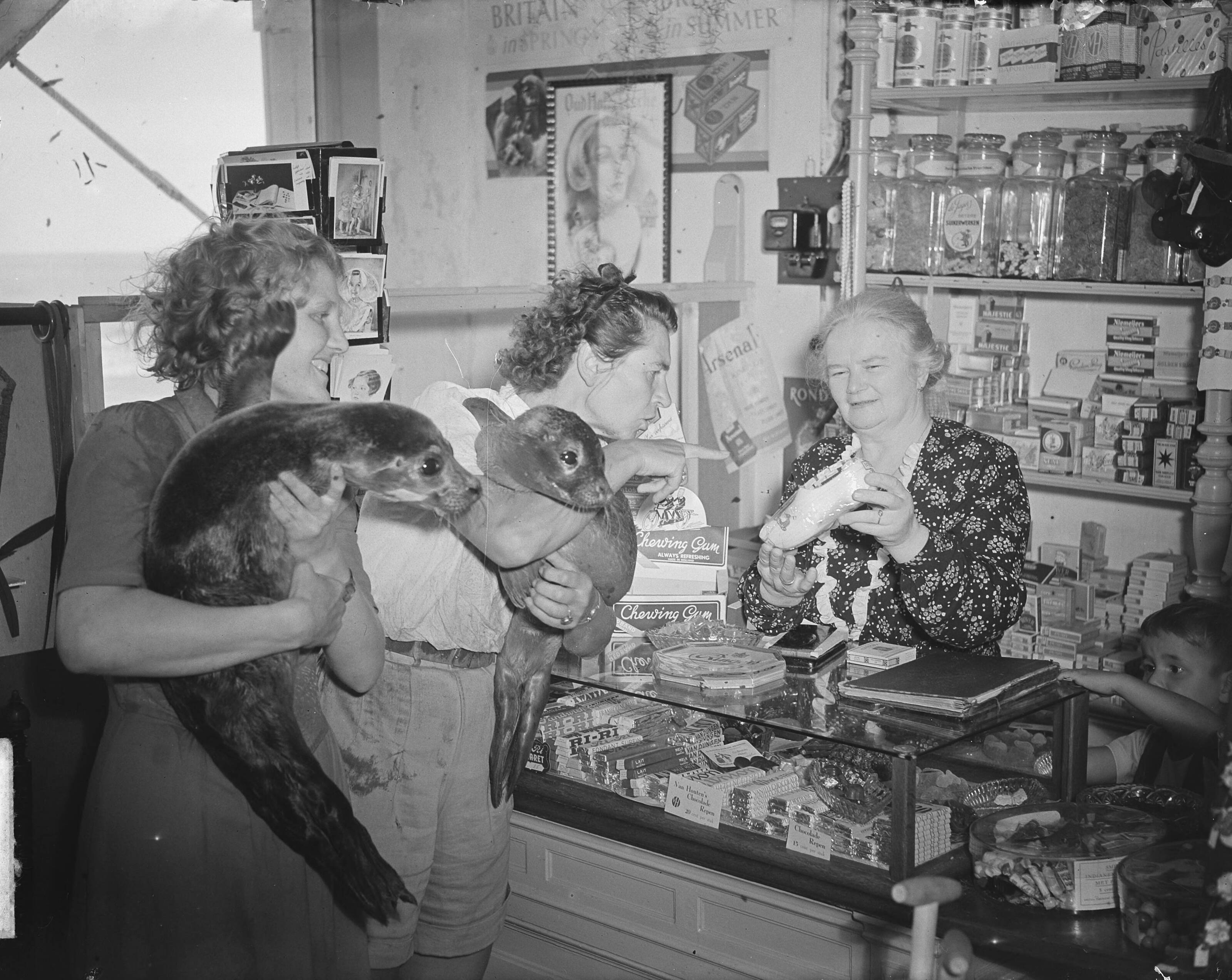 Zeehondjes — Mevrouw Sissingh (Vlissingen) met twee zeehondjes in winkel — Foto: Noske, J.D. / Anefo. Licentie: Set B: Rechtenvrij / Publiek Domein. Bron: Nationaal Archief. http://hdl.handle.net/10648/a8dbd98a-d0b4-102d-bcf8-003048976d84