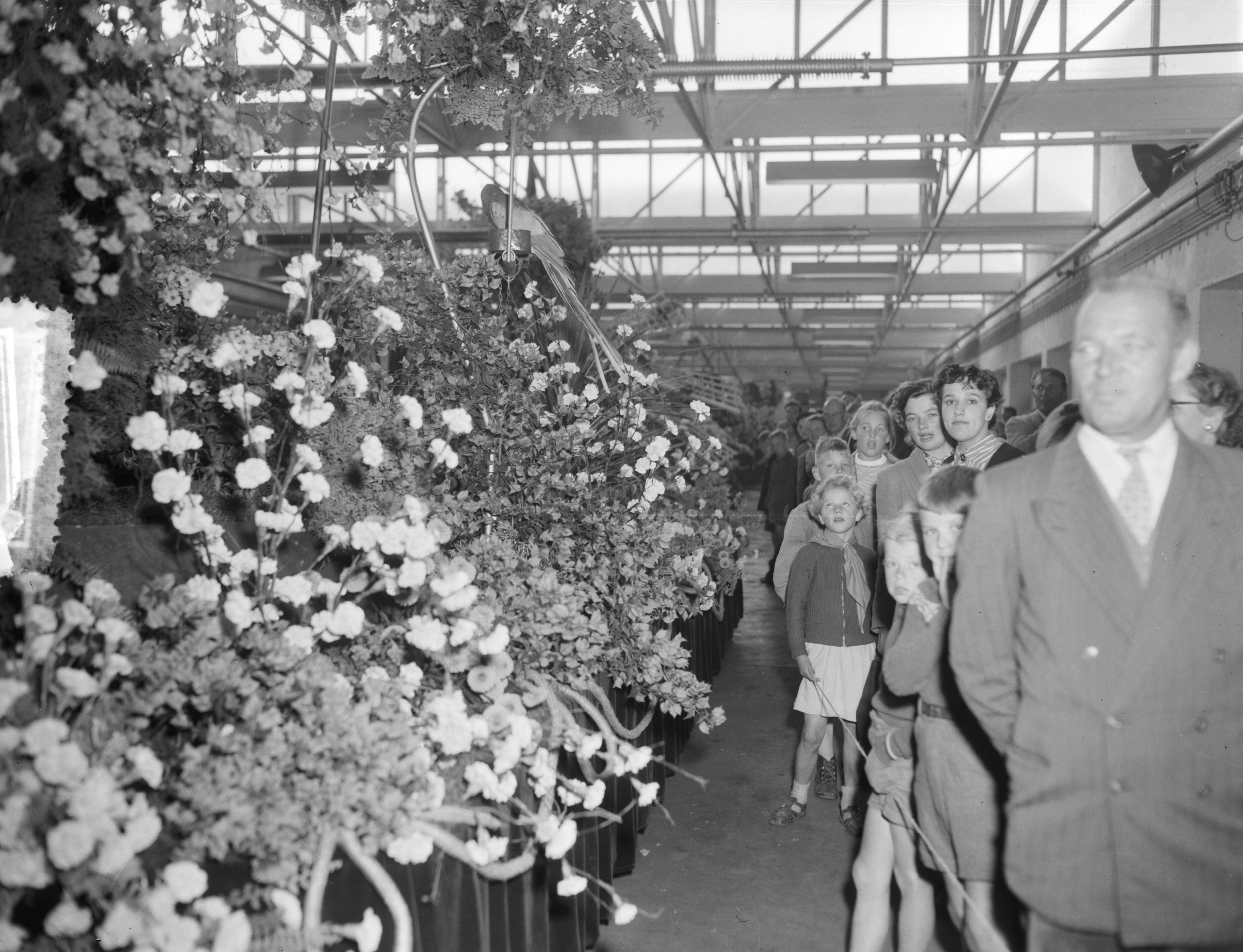 Fotocollectie Anefo — Ouden van dagen bezoeken praalwagens bloemencorso Alsmeer — Foto: Pot, Harry / Anefo. Licentie: Set B: Rechtenvrij / Publiek Domein. Bron: Nationaal Archief. http://hdl.handle.net/10648/ad77e038-d0b4-102d-bcf8-003048976d84
