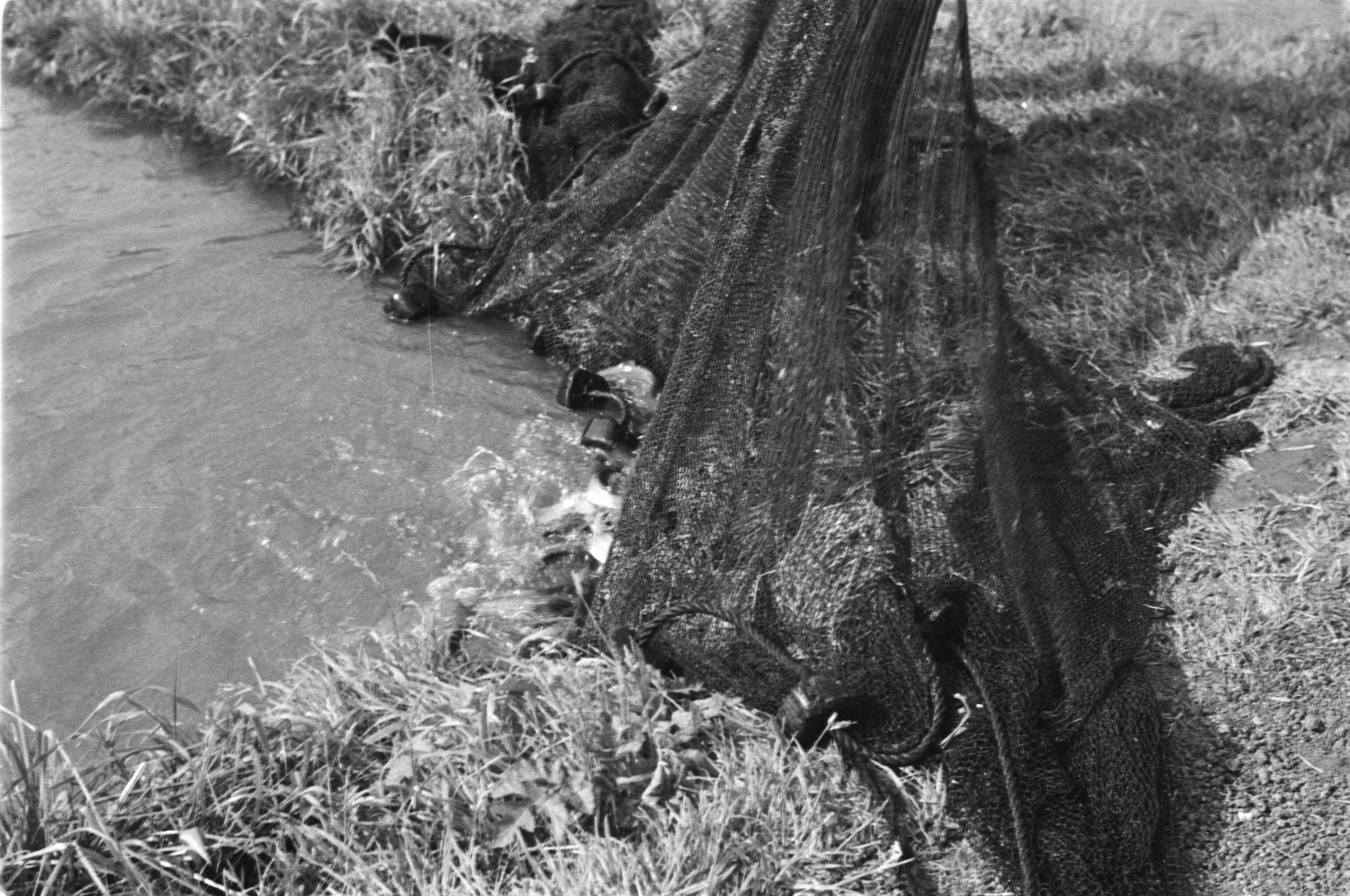 Fotocollectie Nederlandse Heidemaatschappij — Gulpen|visserij |viskwekerijen |forellenvijvers — Foto: Fotograaf Onbekend / Heidemij. Licentie: Set B: Rechtenvrij / Publiek Domein. Bron: Nationaal Archief. http://hdl.handle.net/10648/ae89f150-d0b4-102d-bcf8-003048976d84