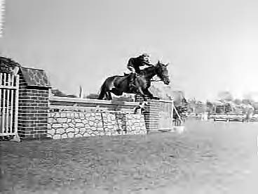 Fotocollectie Anefo — Concours Hippique Den Haag — Foto: Behrens, Herbert F. / Anefo. Licentie: Set B: Rechtenvrij / Publiek Domein. Bron: Nationaal Archief. http://hdl.handle.net/10648/a962e254-d0b4-102d-bcf8-003048976d84