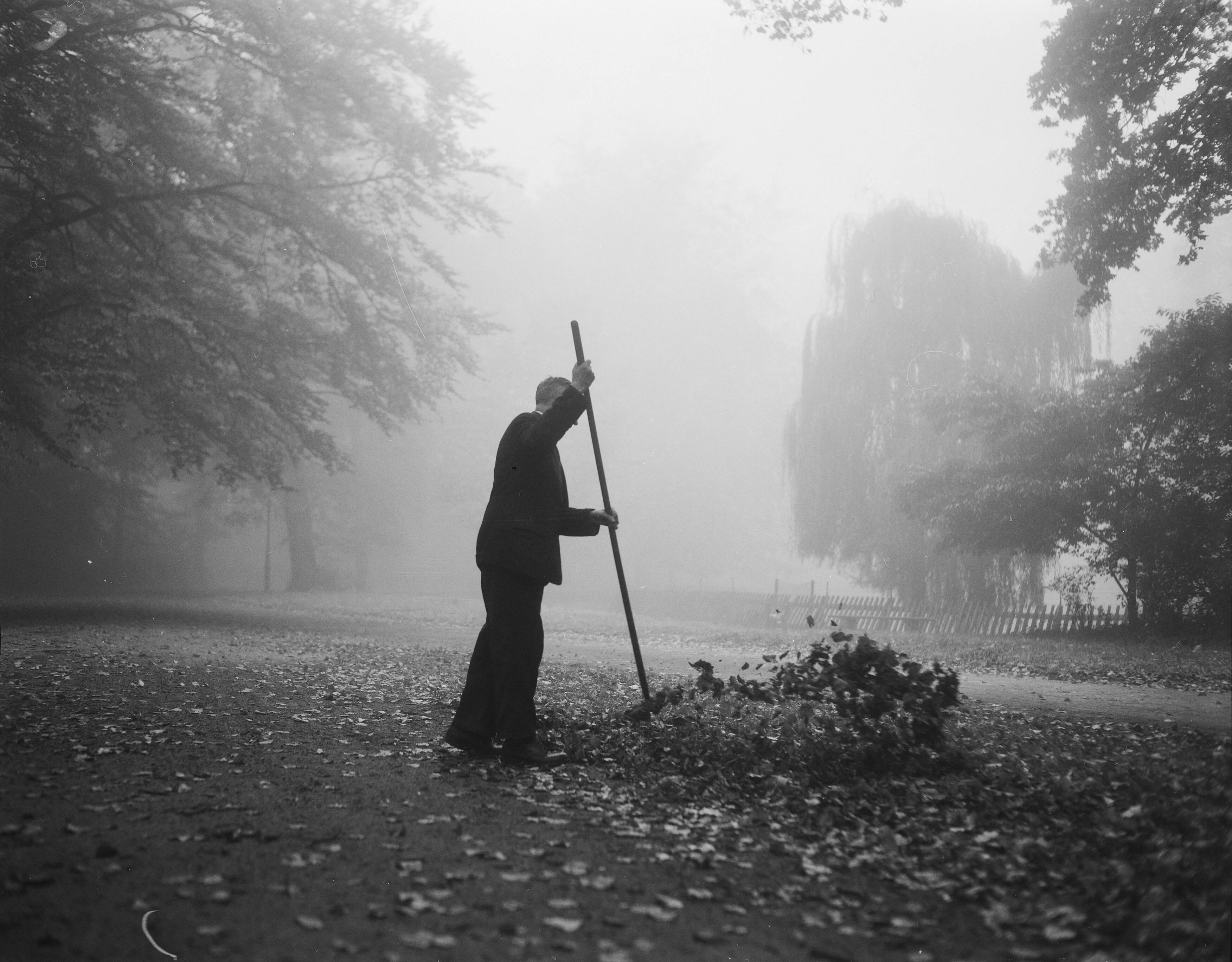 Fotocollectie Anefo — Herfst in de Haarlemmerhout in Haarlem — Foto: Pot, Harry / Anefo. Licentie: Set B: Rechtenvrij / Publiek Domein. Bron: Nationaal Archief. http://hdl.handle.net/10648/a96bf1be-d0b4-102d-bcf8-003048976d84