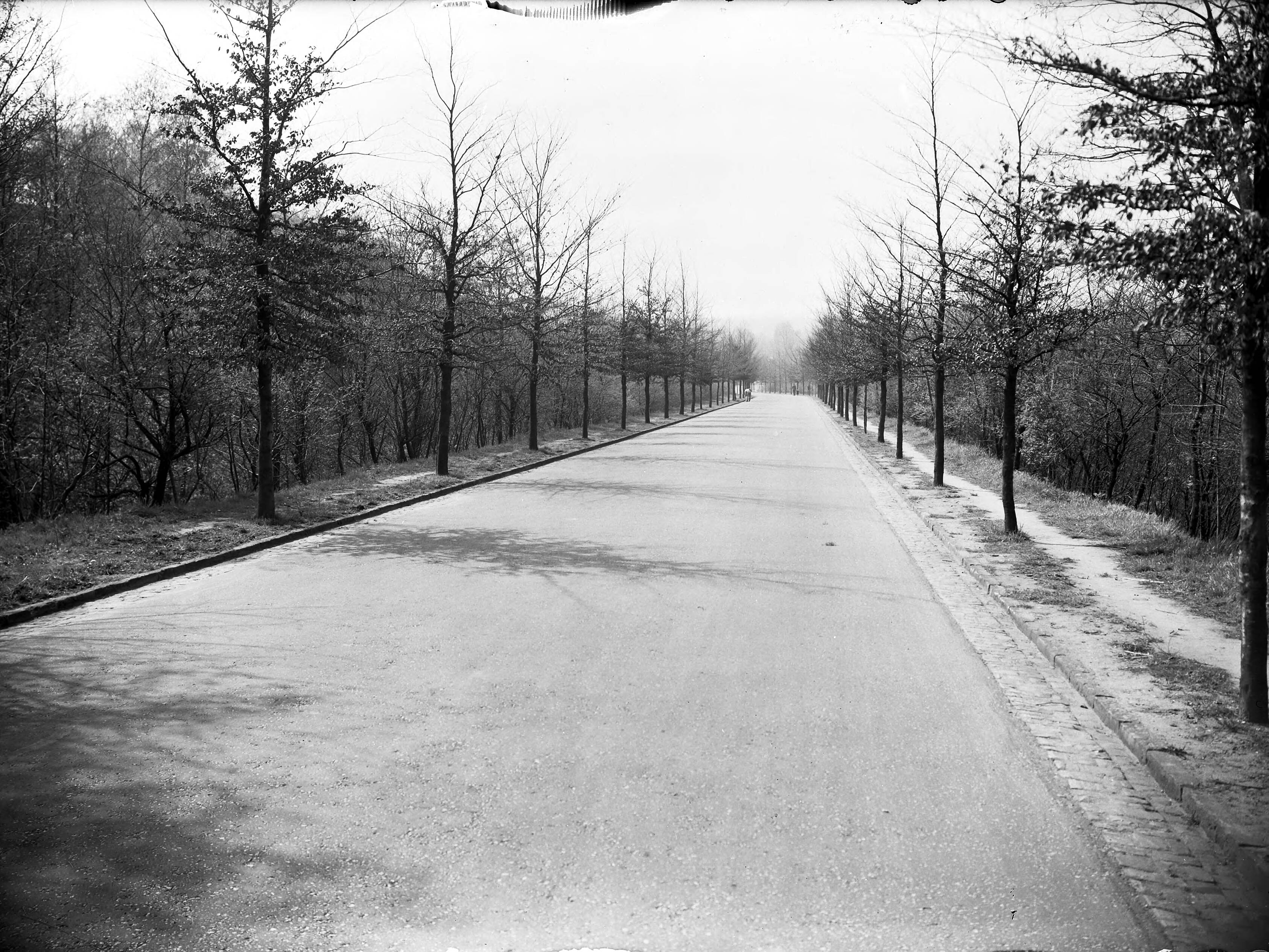 Fotocollectie Nederlandse Heidemaatschappij — In 1938 aangelegde weg - Toubersweg Kerkrade — Foto: Goelst, K.L.F. / Heidemij. Licentie: Set B: Rechtenvrij / Publiek Domein. Bron: Nationaal Archief. http://hdl.handle.net/10648/ae6f4d96-d0b4-102d-bcf8-003048976d84