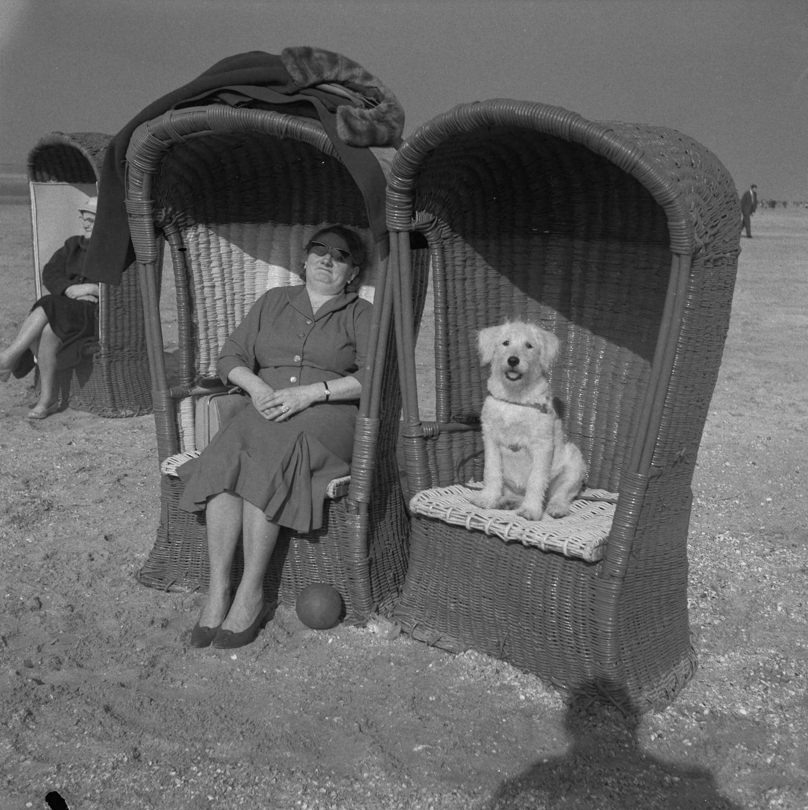 Fotocollectie Anefo — Mooi weer aan het strand te Zandvoort. Bazin en hond in strandstoel — Foto: Nijs, Jac. de / Anefo. Licentie: Set B: Rechtenvrij / Publiek Domein. Bron: Nationaal Archief. http://hdl.handle.net/10648/a9cba712-d0b4-102d-bcf8-003048976d84