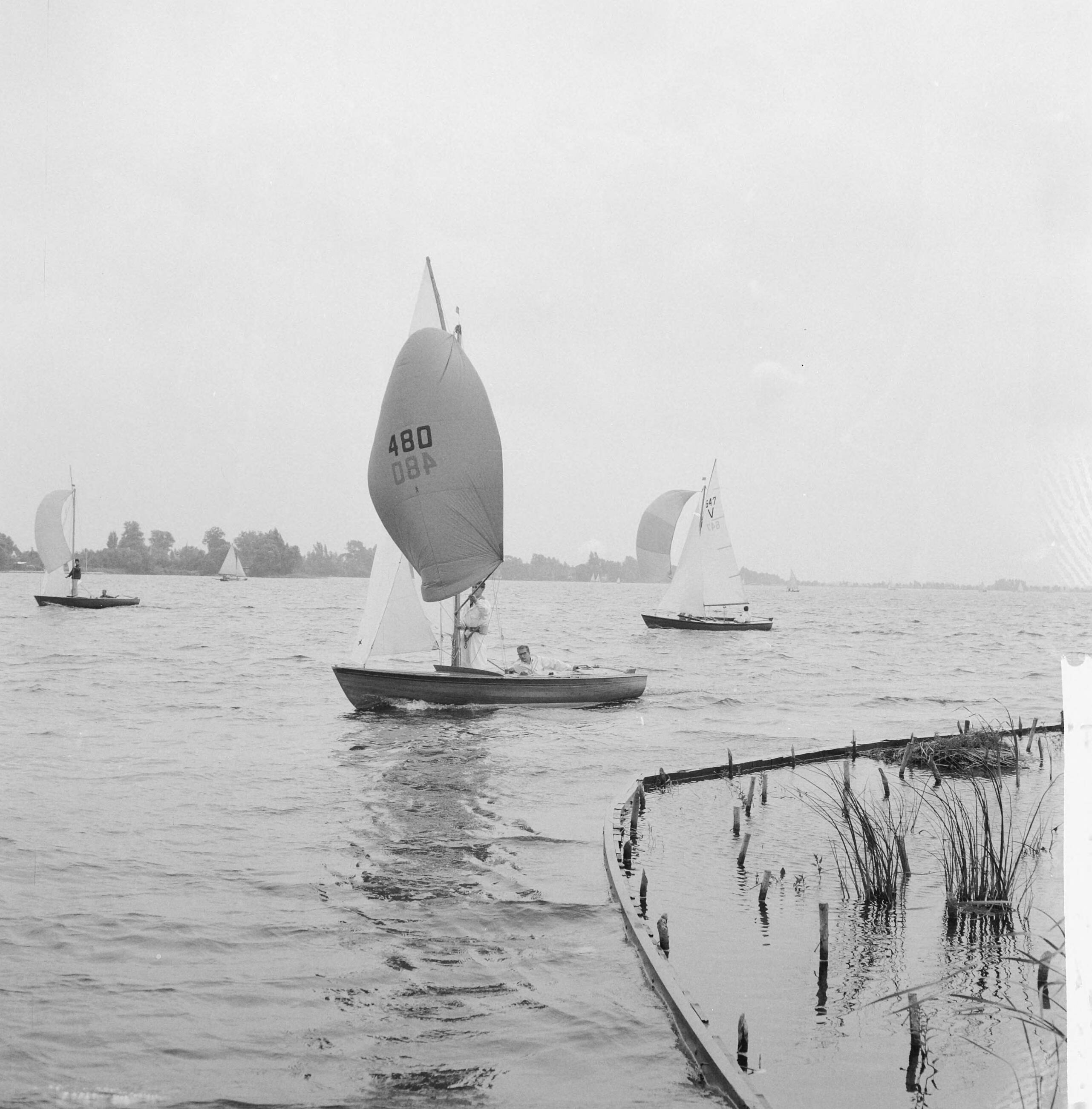 Fotocollectie Anefo — Internationale Hollandweek te Loosdrecht — Foto: Behrens, Herbert F. / Anefo. Licentie: Set B: Rechtenvrij / Publiek Domein. Bron: Nationaal Archief. http://hdl.handle.net/10648/a9b5930a-d0b4-102d-bcf8-003048976d84