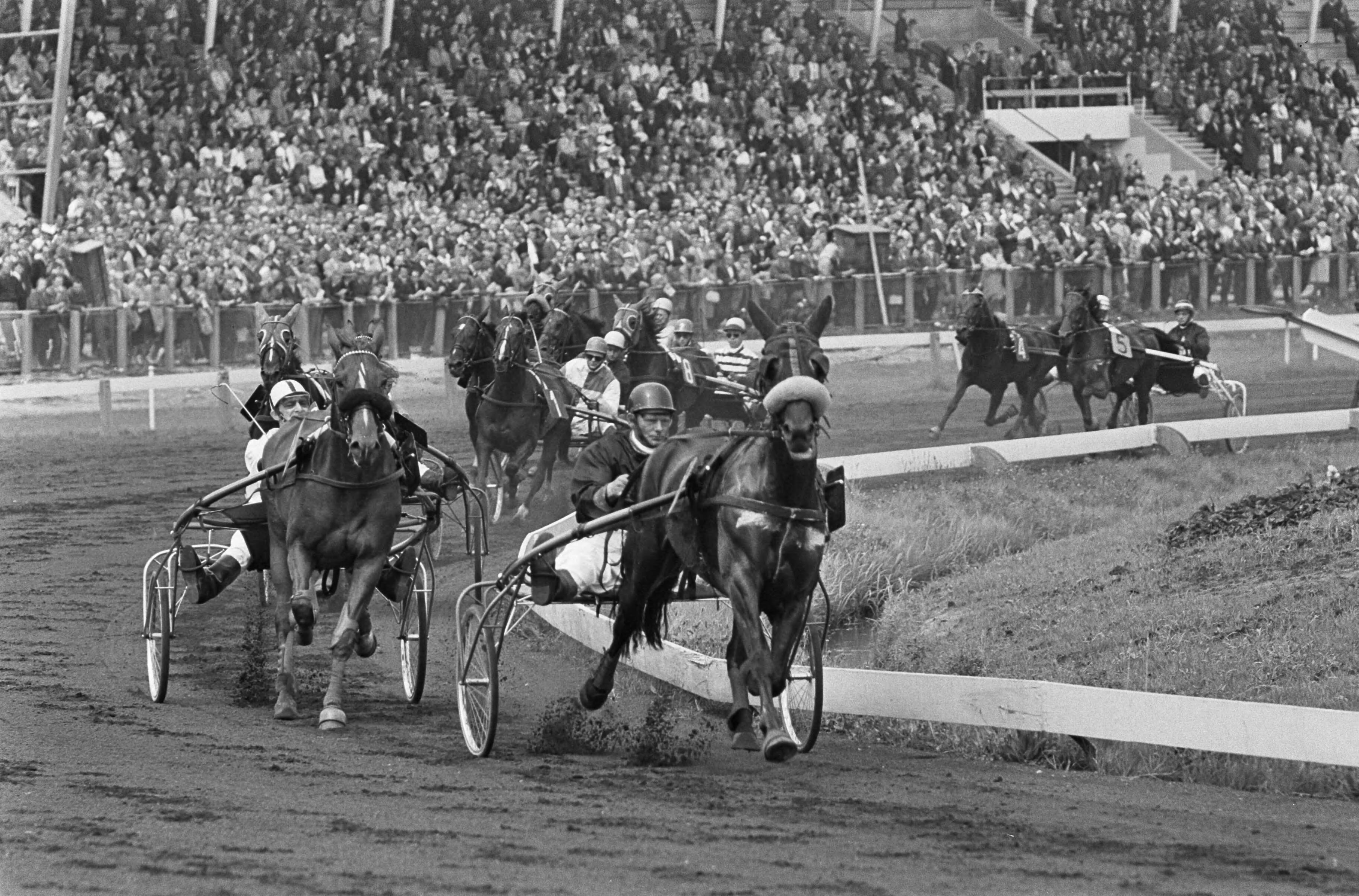 Fotocollectie Anefo — Rennen en draverijen op Duindigt, het veld in de bocht voor de hoofdtribune — Foto: Pot, Harry / Anefo (1). Licentie: Set B: Rechtenvrij / Publiek Domein. Bron: Nationaal Archief. http://hdl.handle.net/10648/aa71366e-d0b4-102d-bcf8-003048976d84