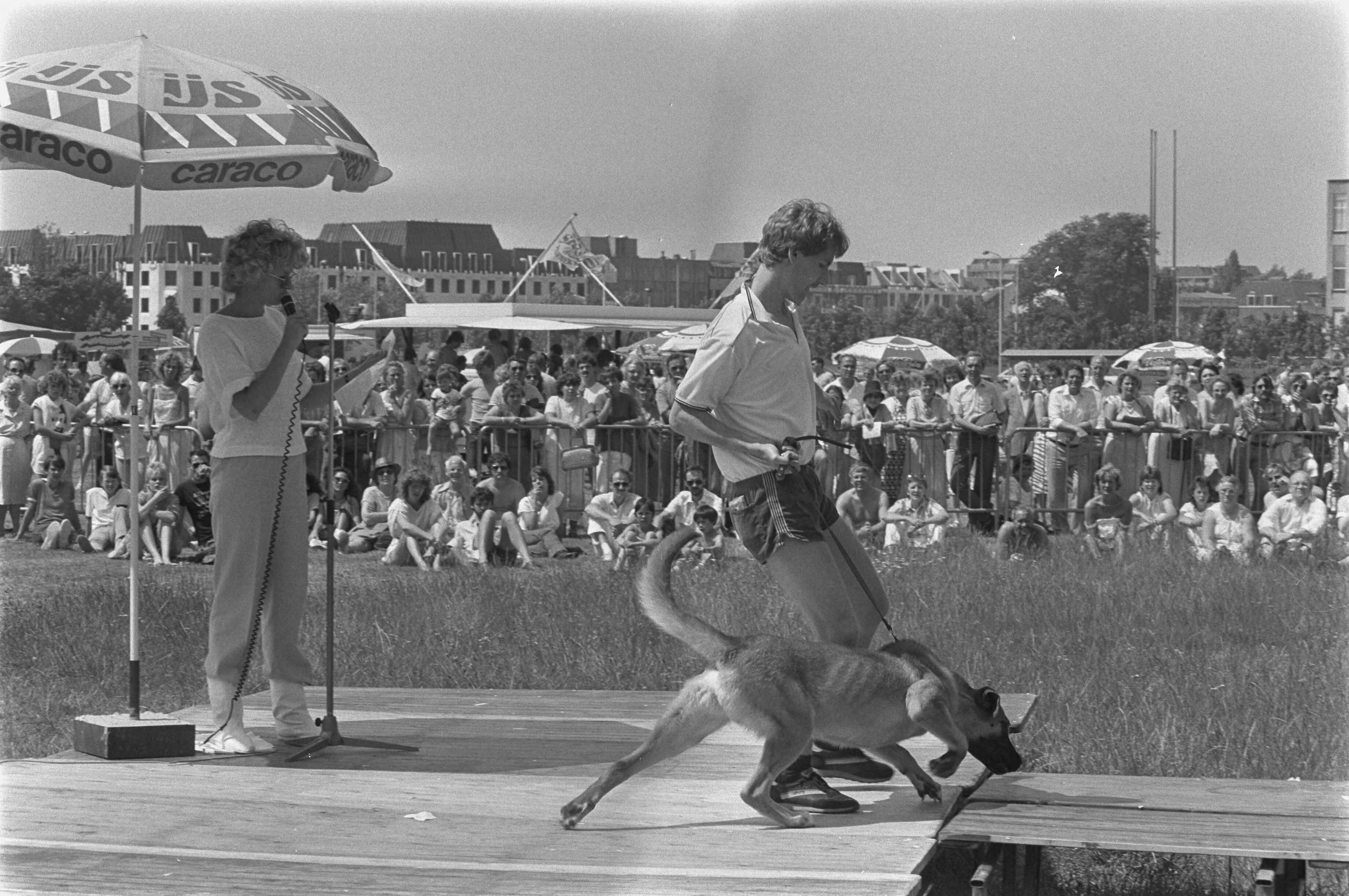 Fotocollectie Anefo — Katten en honden uit dierenasiels "te kijk" op Malieveld Den Haag — Foto: Antonisse, Marcel / Anefo. Licentie: Set B: Rechtenvrij / Publiek Domein. Bron: Nationaal Archief. http://hdl.handle.net/10648/ad3b08a2-d0b4-102d-bcf8-003048976d84