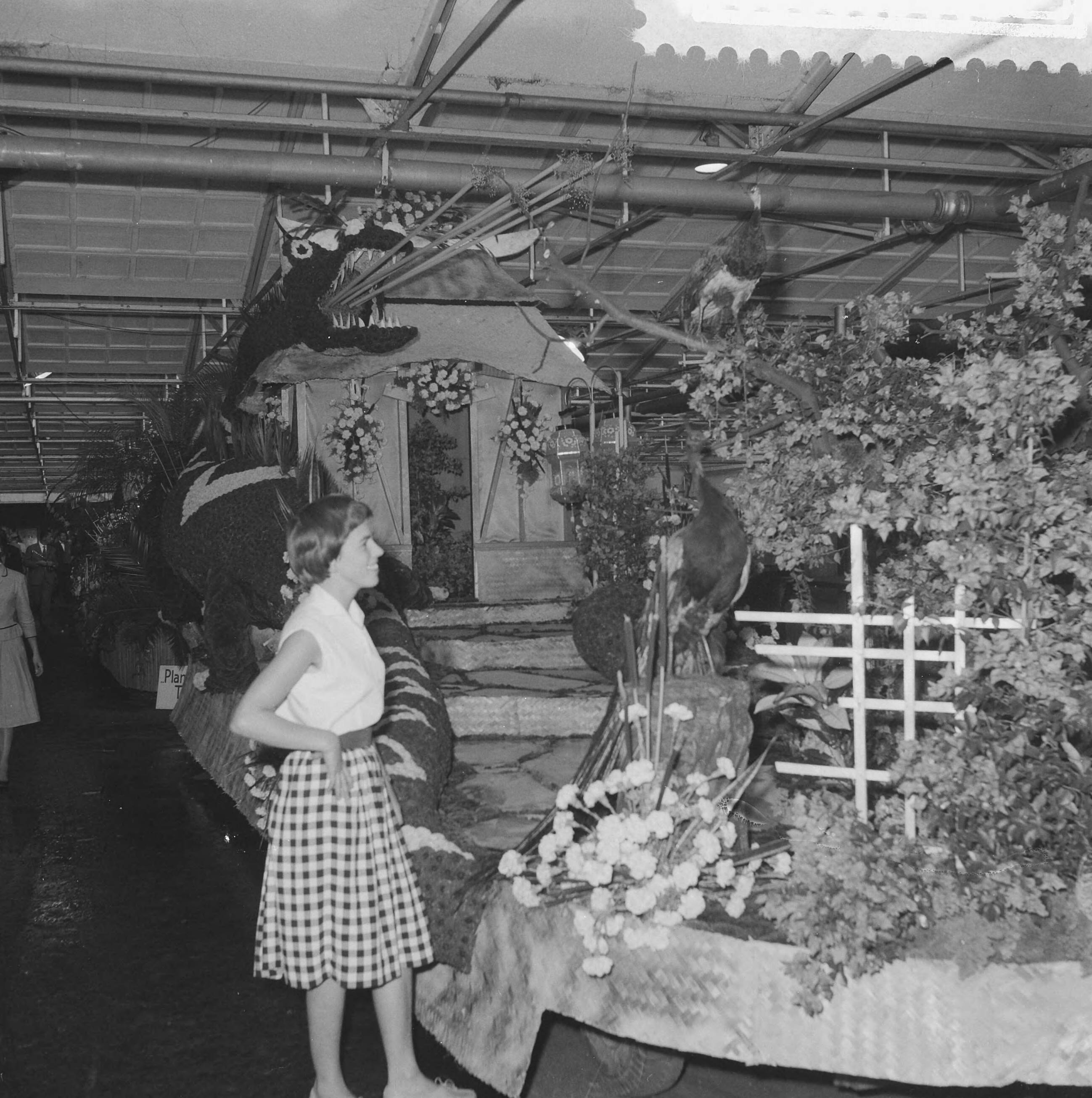 Fotocollectie Anefo — Voorbereidingen voor het bloemencorso — Foto: Noske, J.D. / Anefo. Licentie: Set B: Rechtenvrij / Publiek Domein. Bron: Nationaal Archief. http://hdl.handle.net/10648/a99cab6a-d0b4-102d-bcf8-003048976d84