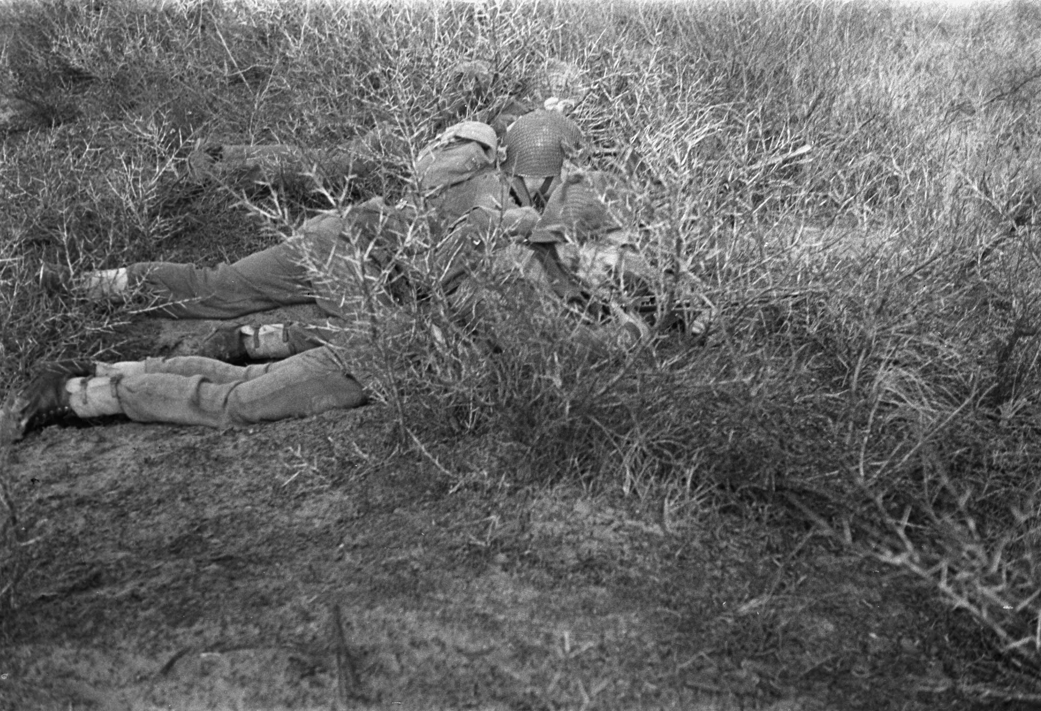 Fotocollectie Anefo — Militair opleidingskamp te Bloemendaal(bezoek Generaal Kruls ) — Foto: Dudok van Heel, Jack / Anefo. Licentie: Set B: Rechtenvrij / Publiek Domein. Bron: Nationaal Archief. http://hdl.handle.net/10648/a8988be4-d0b4-102d-bcf8-003048976d84