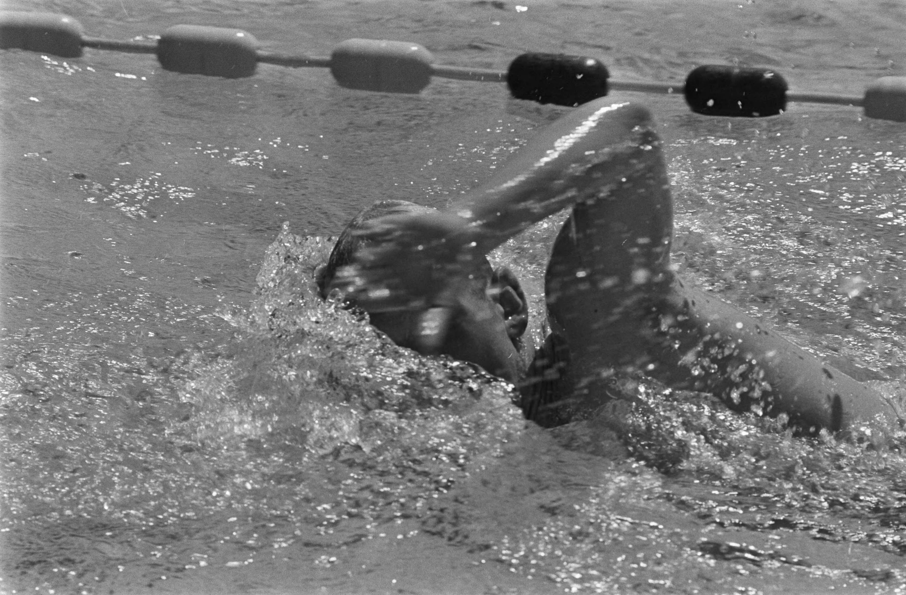 Fotocollectie Anefo — Nationale kampioenschappen zwemmen te Leeuwarden — Foto: Verhoeff, Bert / Anefo. Licentie: Set B: Rechtenvrij / Publiek Domein. Bron: Nationaal Archief. http://hdl.handle.net/10648/ab9d3290-d0b4-102d-bcf8-003048976d84