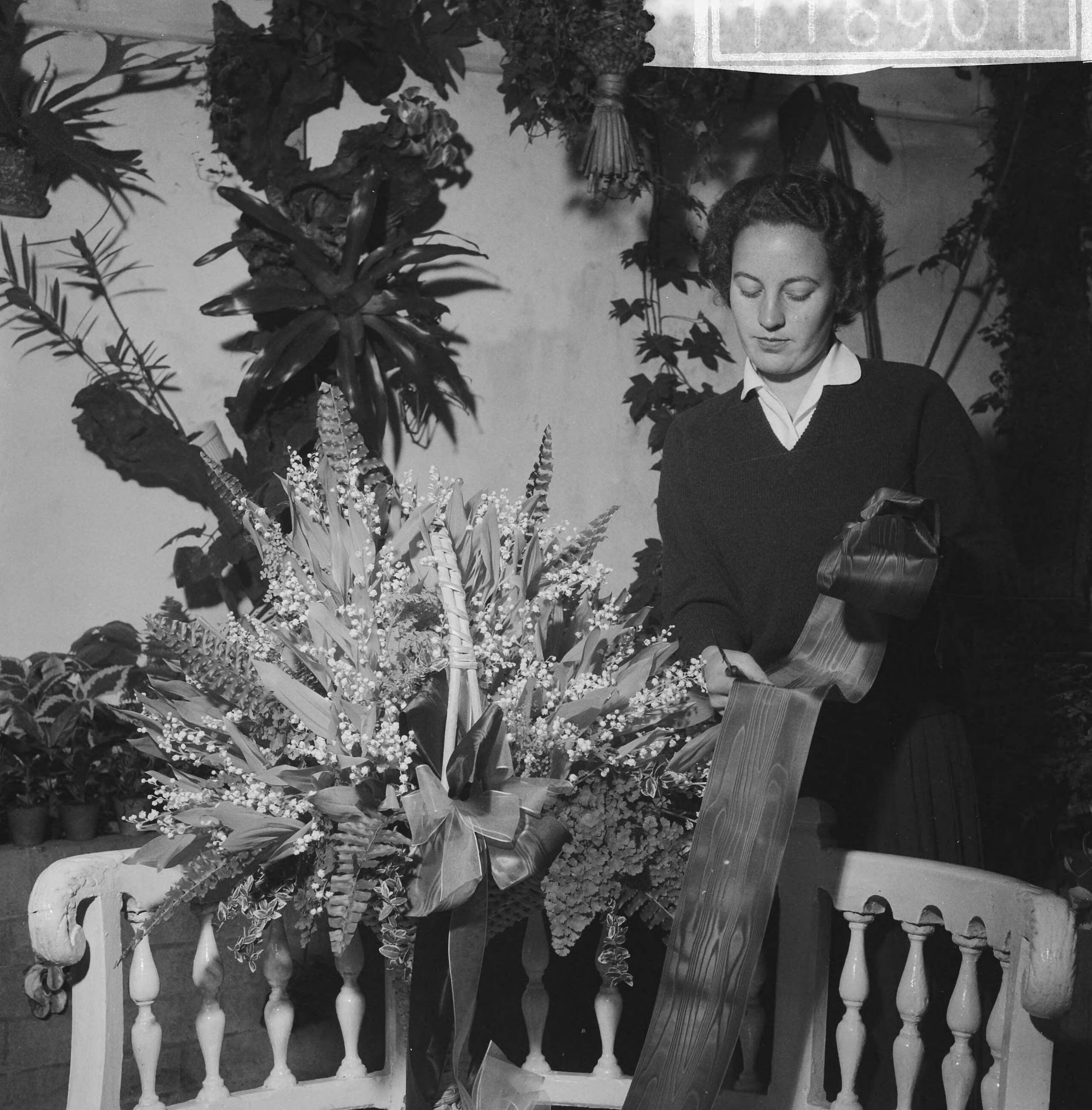 Fotocollectie Anefo — Flowershop in Haarlem ontvangt voor de derde maal een opdracht van het Perzische hof, laatste hand wordt gelegd aan een der bloemstukken — Foto: Pot, Harry / Anefo. Licentie: Set B: Rechtenvrij / Publiek Domein. Bron: Nationaal Archief. http://hdl.handle.net/10648/a9bc3b92-d0b4-102d-bcf8-003048976d84
