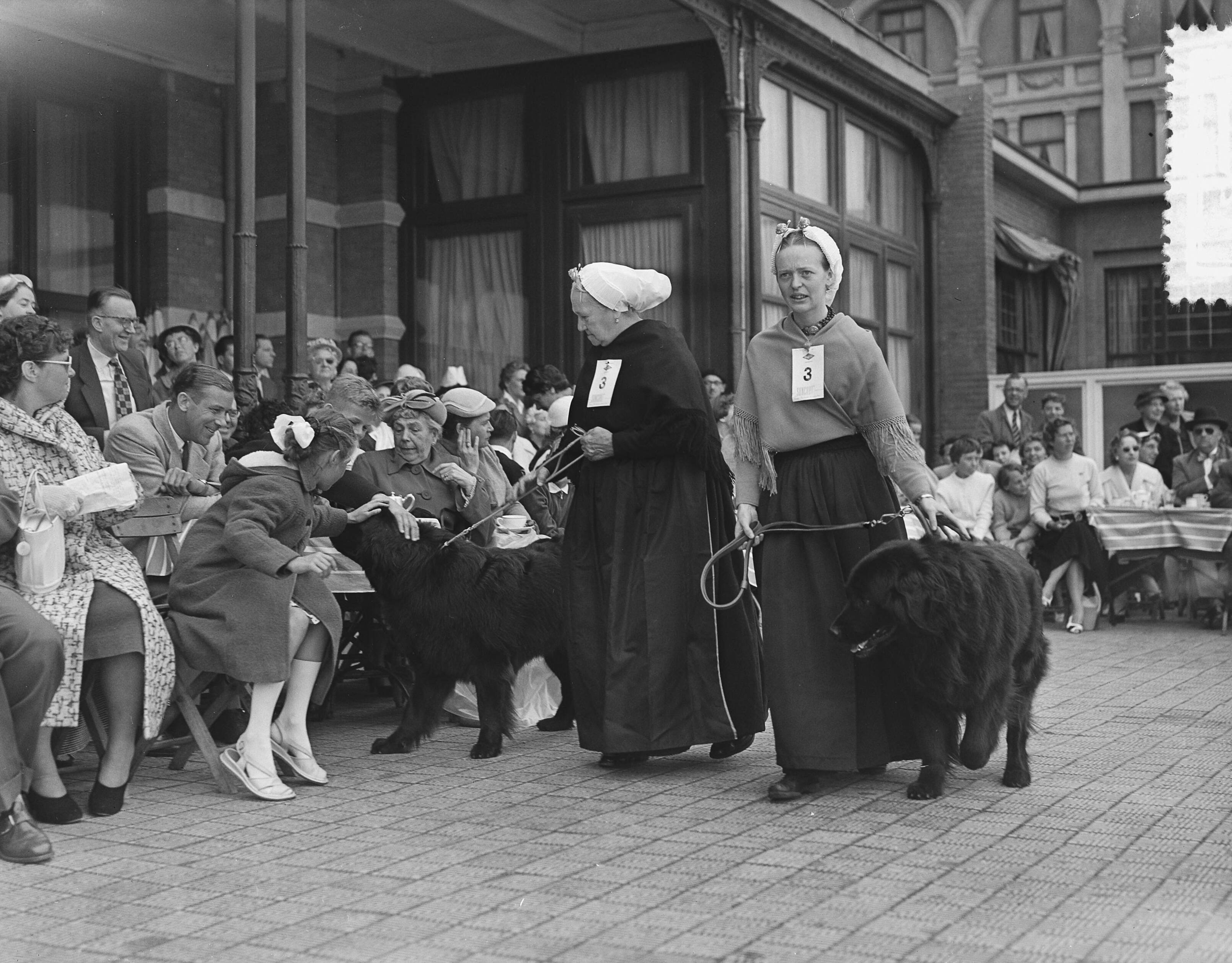 Fotocollectie Anefo — Hondenparade terras Kurhaus Scheveningen — Foto: Bilsen, Joop van / Anefo. Licentie: Set B: Rechtenvrij / Publiek Domein. Bron: Nationaal Archief. http://hdl.handle.net/10648/a939263a-d0b4-102d-bcf8-003048976d84
