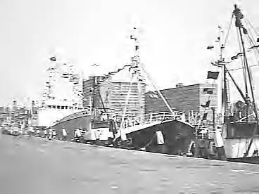 Fotocollectie Rijksvoorlichtingsdienst Eigen — dias vlaggetjesdag scheveningen — Foto: Schuurman, Ralph L. / RVD. Licentie: Set B: Rechtenvrij / Publiek Domein. Bron: Nationaal Archief. http://hdl.handle.net/10648/af733b4e-d0b4-102d-bcf8-003048976d84