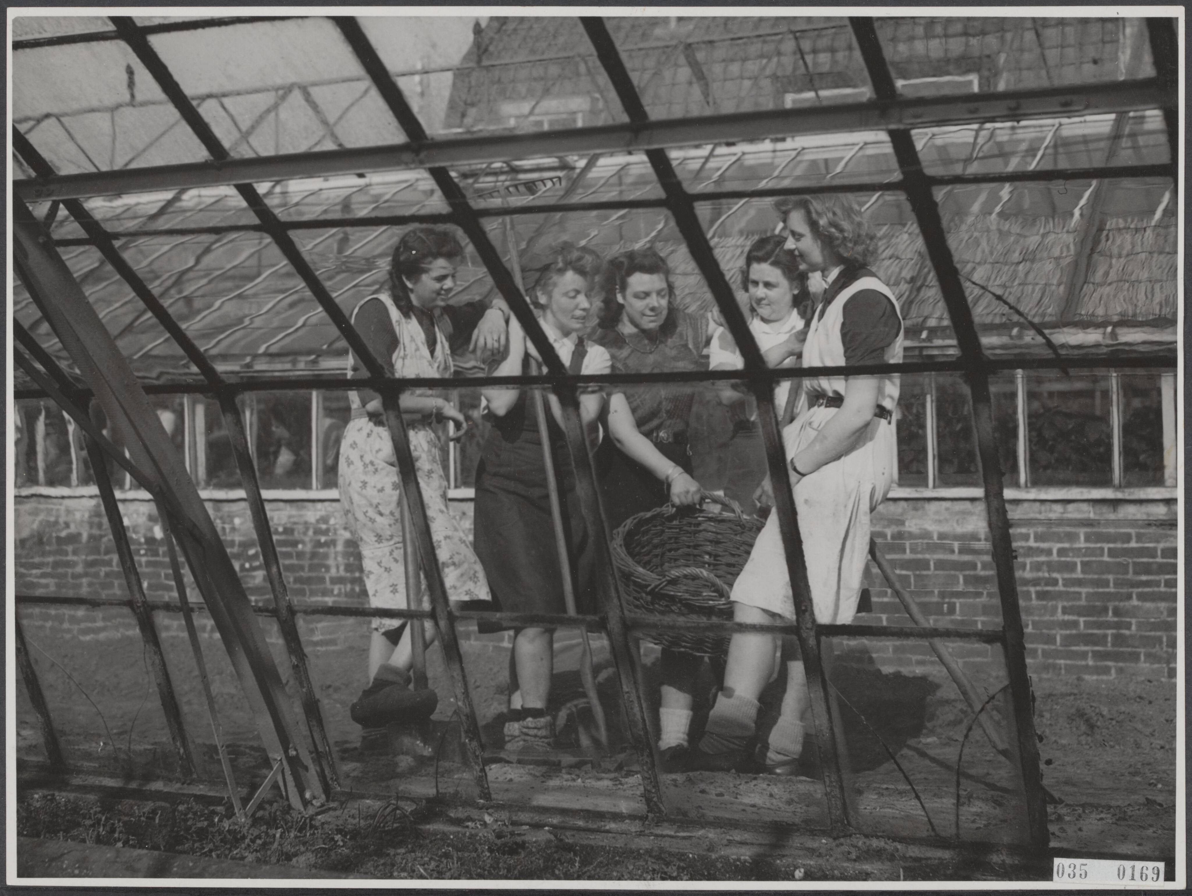 Fotocollectie Elsevier Binnenland — Tuinbouwschool "Huis te Lande" te Rijswijk. Een gezellig buurpraatje, vanuit een der kassen gezien — Foto: Raucamp, Koos / Anefo. Licentie: Set B: Rechtenvrij / Publiek Domein. Bron: Nationaal Archief. http://hdl.handle.net/10648/ade9e2b4-d0b4-102d-bcf8-003048976d84