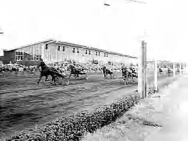 Fotocollectie Anefo — Langebaankampioenschappen draverijen voor Nederlandse paarden te Hilversum — Foto: Behrens, Herbert F. / Anefo. Licentie: Set B: Rechtenvrij / Publiek Domein. Bron: Nationaal Archief. http://hdl.handle.net/10648/a983118c-d0b4-102d-bcf8-003048976d84