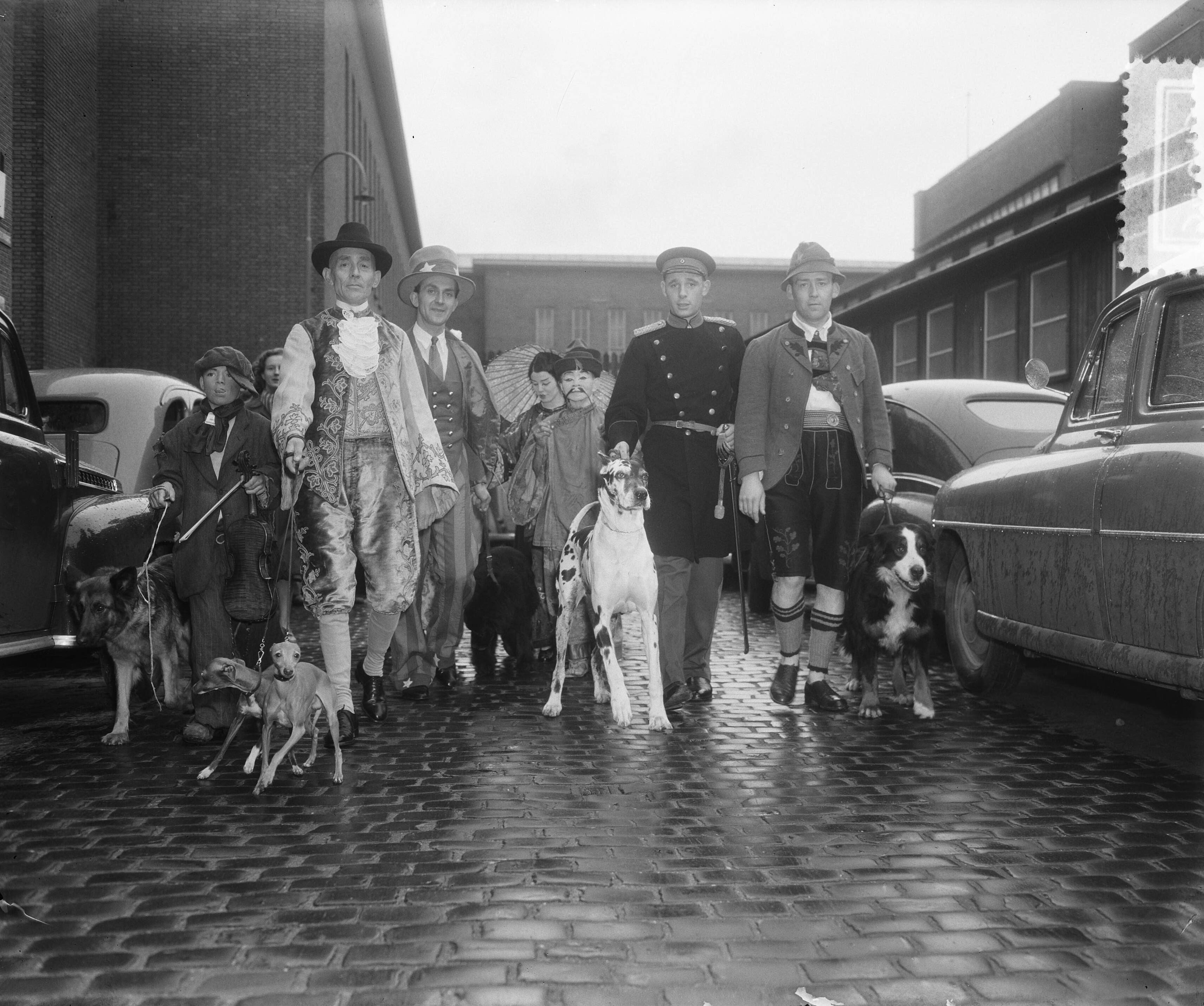 Fotocollectie Anefo — Rashondententoonstelling te Utrecht — Foto: Pot, Harry / Anefo. Licentie: Set B: Rechtenvrij / Publiek Domein. Bron: Nationaal Archief. http://hdl.handle.net/10648/a9026e24-d0b4-102d-bcf8-003048976d84