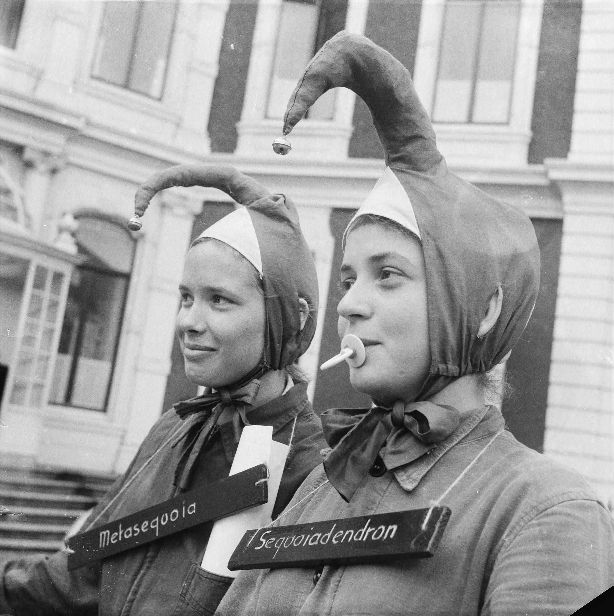 Fotocollectie Anefo — Ontgroening van meisjes in Den Haag — Foto: Nijs, Jac. de / Anefo. Licentie: Set B: Rechtenvrij / Publiek Domein. Bron: Nationaal Archief. http://hdl.handle.net/10648/a9e15594-d0b4-102d-bcf8-003048976d84