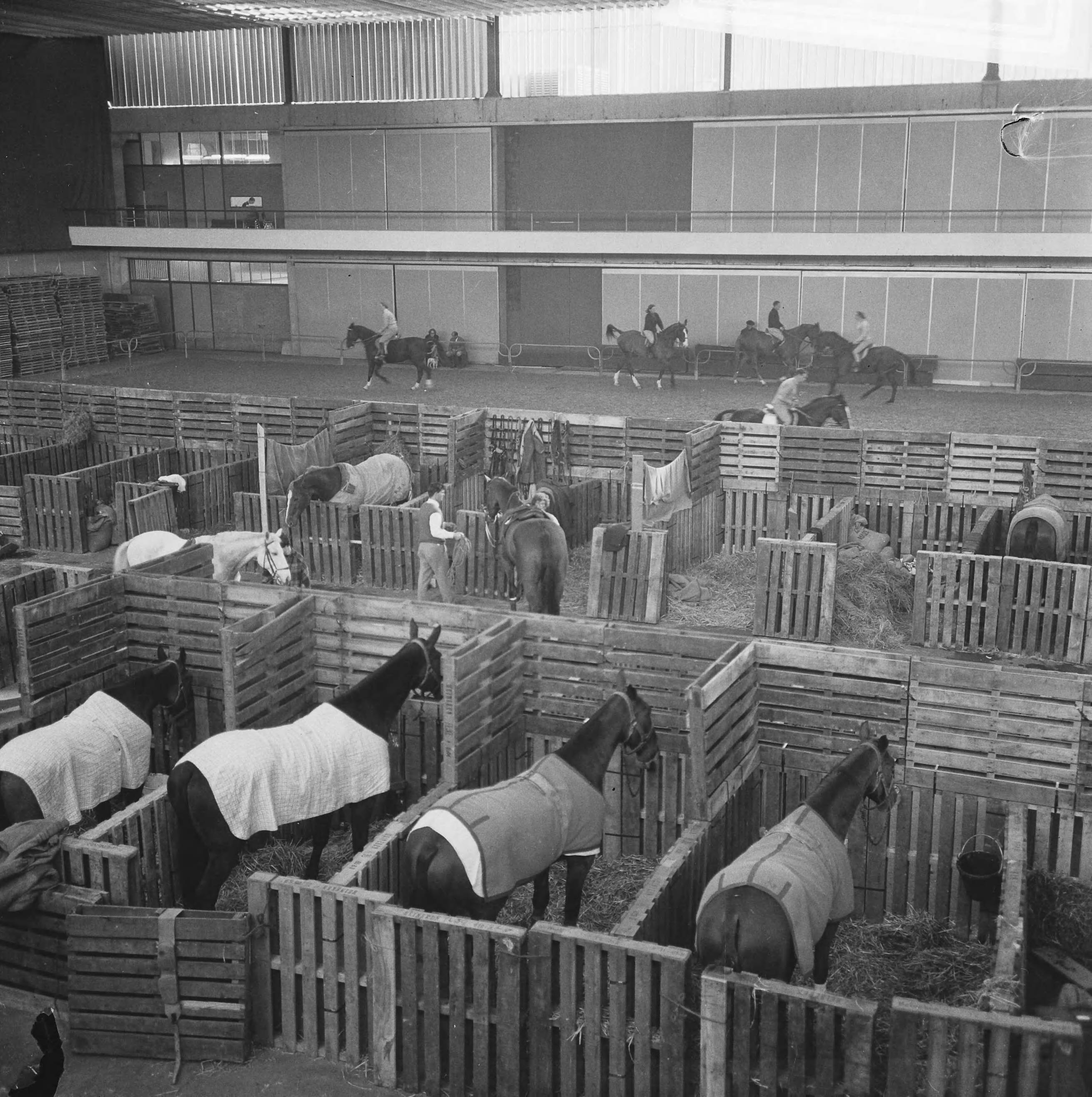Fotocollectie Anefo — Jaarlijks paardensportevenement Jumping Amsterdam in de RAI. De paarden in de stallen — Foto: Nijs, Jac. de / Anefo. Licentie: Set B: Rechtenvrij / Publiek Domein. Bron: Nationaal Archief. http://hdl.handle.net/10648/aac85f16-d0b4-102d-bcf8-003048976d84